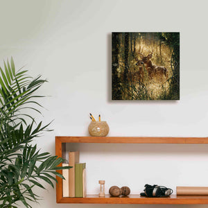 'A Golden Moment' by Collin Bogle, Canvas Wall Art,12x12