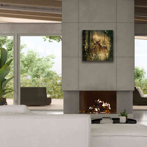 Image of 'A Golden Moment' by Collin Bogle, Canvas Wall Art,26x26