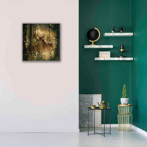 Image of 'A Golden Moment' by Collin Bogle, Canvas Wall Art,26x26
