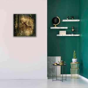 'A Golden Moment' by Collin Bogle, Canvas Wall Art,26x26