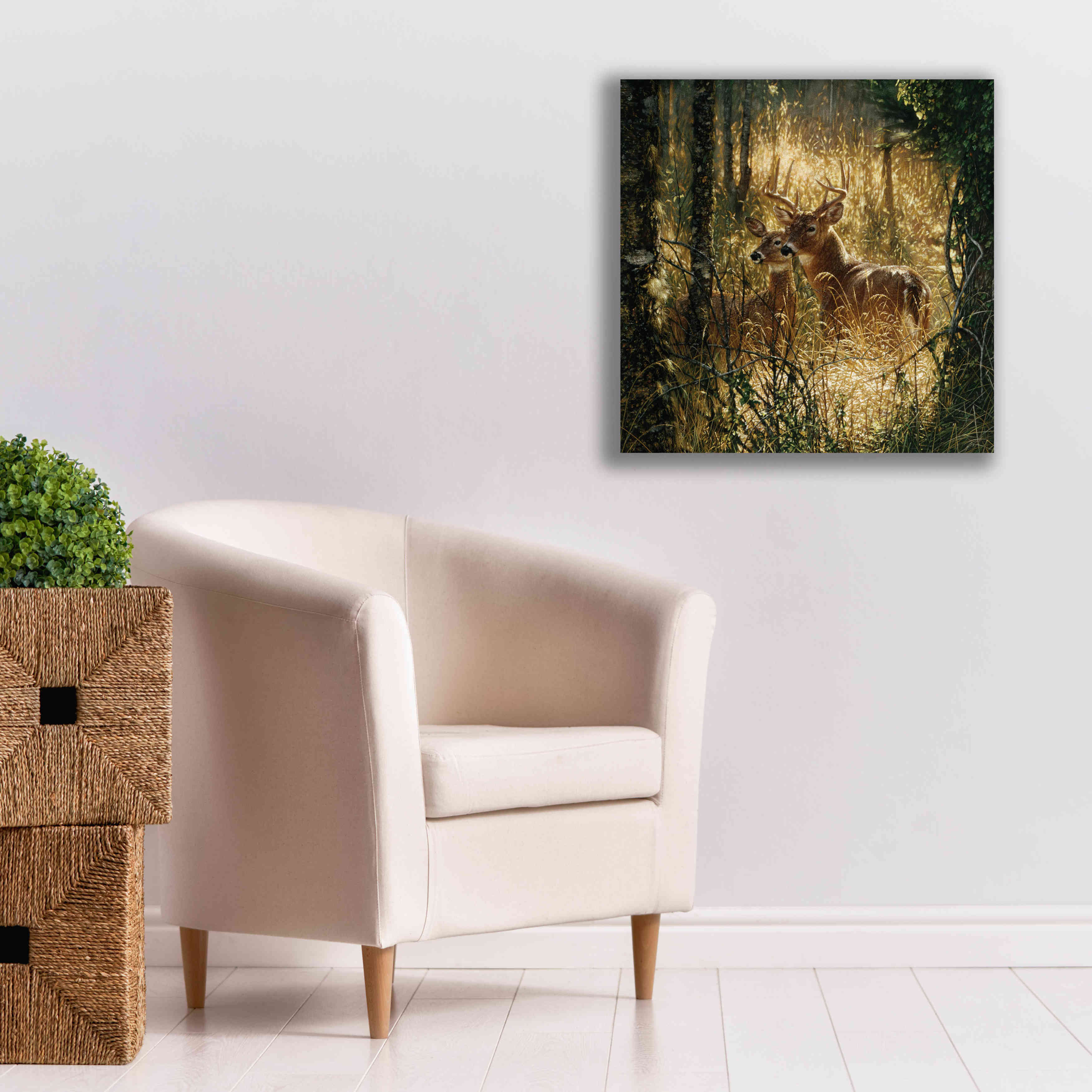 'A Golden Moment' by Collin Bogle, Canvas Wall Art,26x26