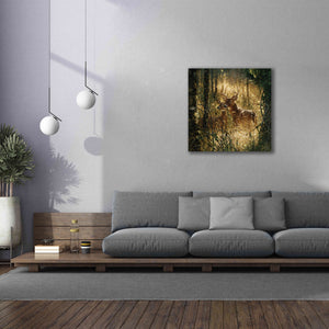 'A Golden Moment' by Collin Bogle, Canvas Wall Art,37x37