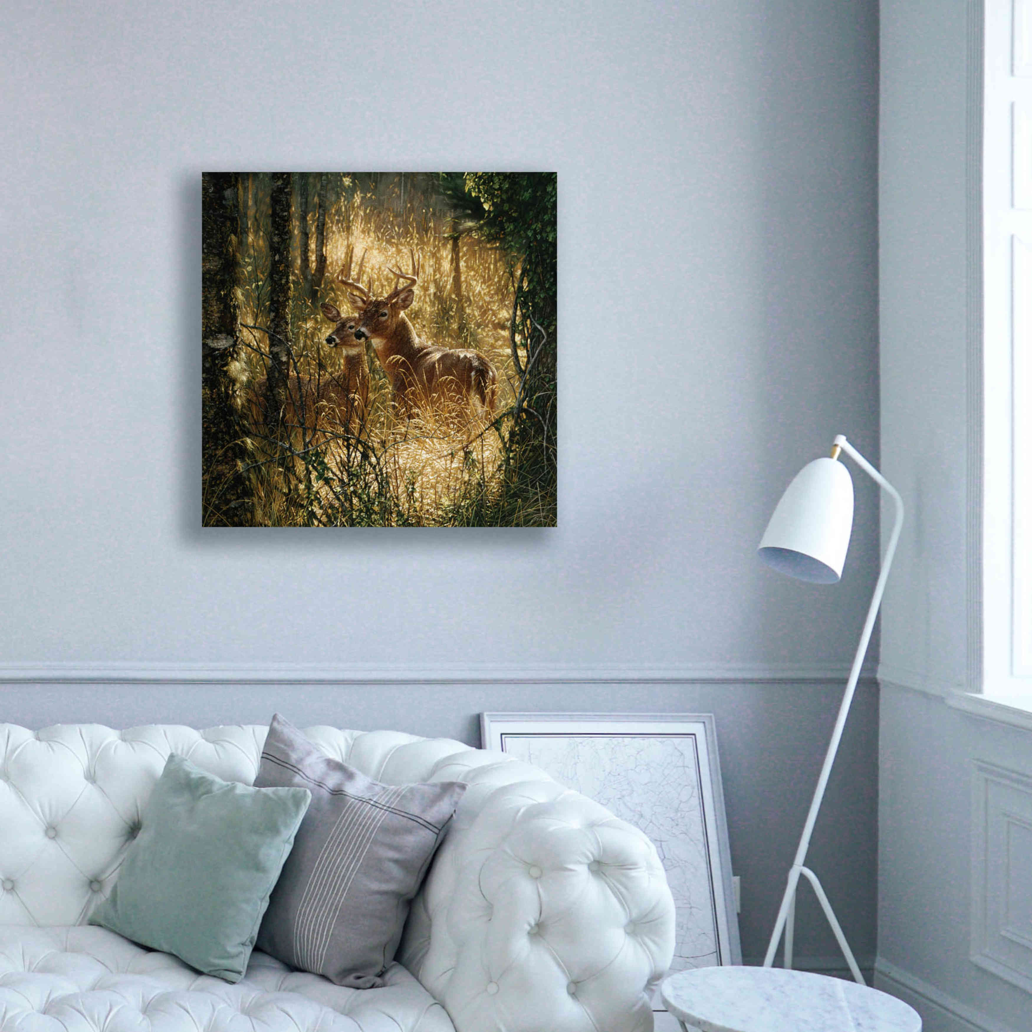 'A Golden Moment' by Collin Bogle, Canvas Wall Art,37x37
