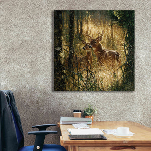 'A Golden Moment' by Collin Bogle, Canvas Wall Art,37x37