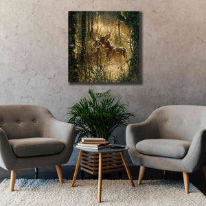 'A Golden Moment' by Collin Bogle, Canvas Wall Art,37x37