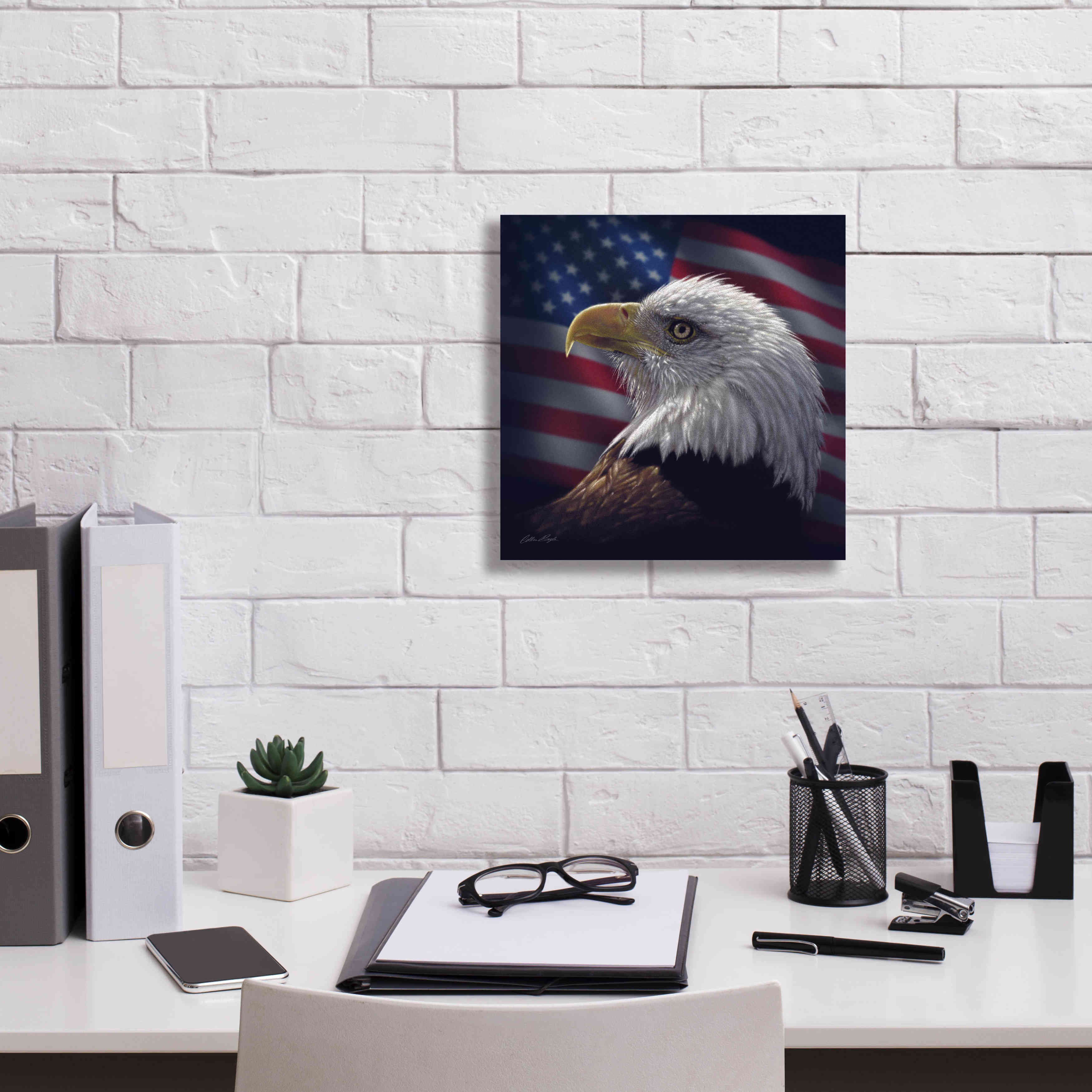 'American Bald Eagle' by Collin Bogle, Canvas Wall Art,12x12