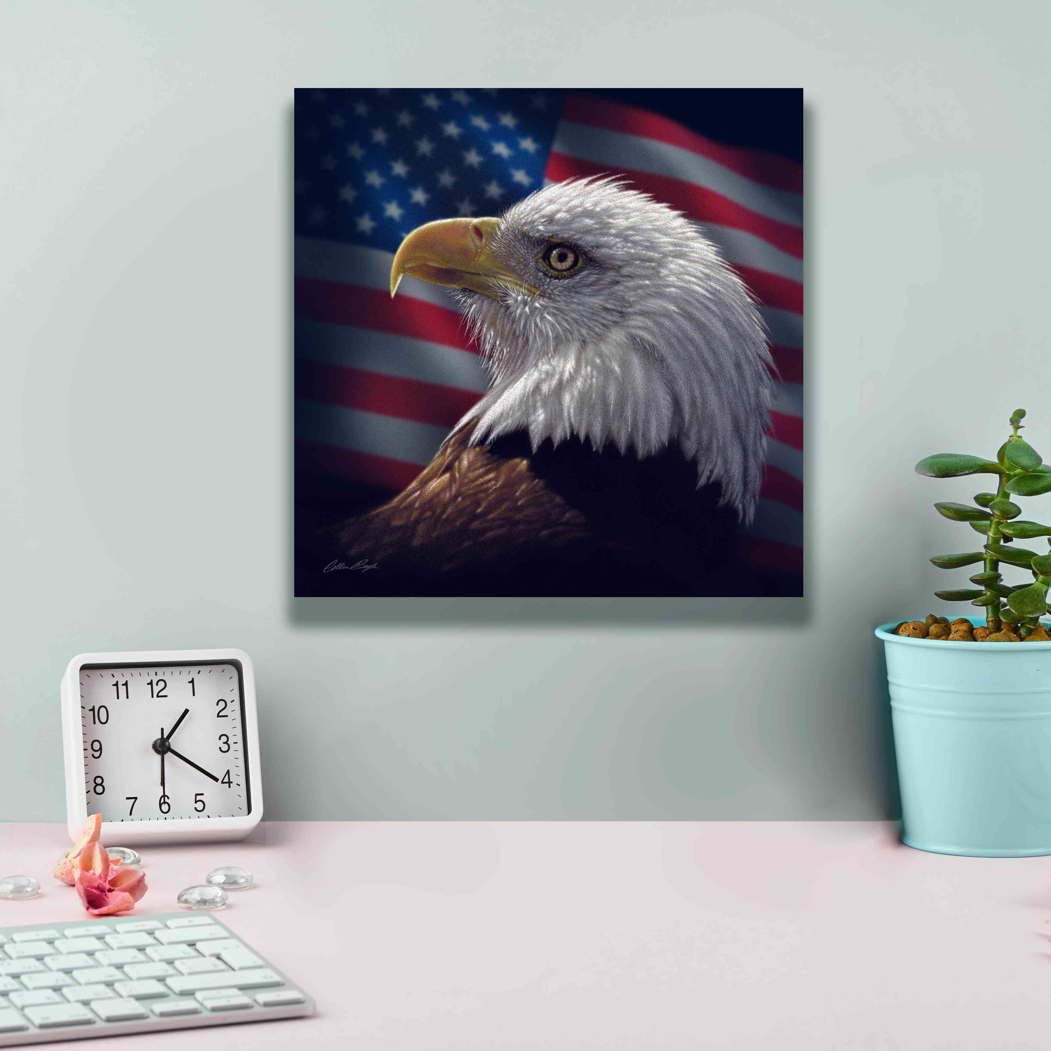 'American Bald Eagle' by Collin Bogle, Canvas Wall Art,12x12