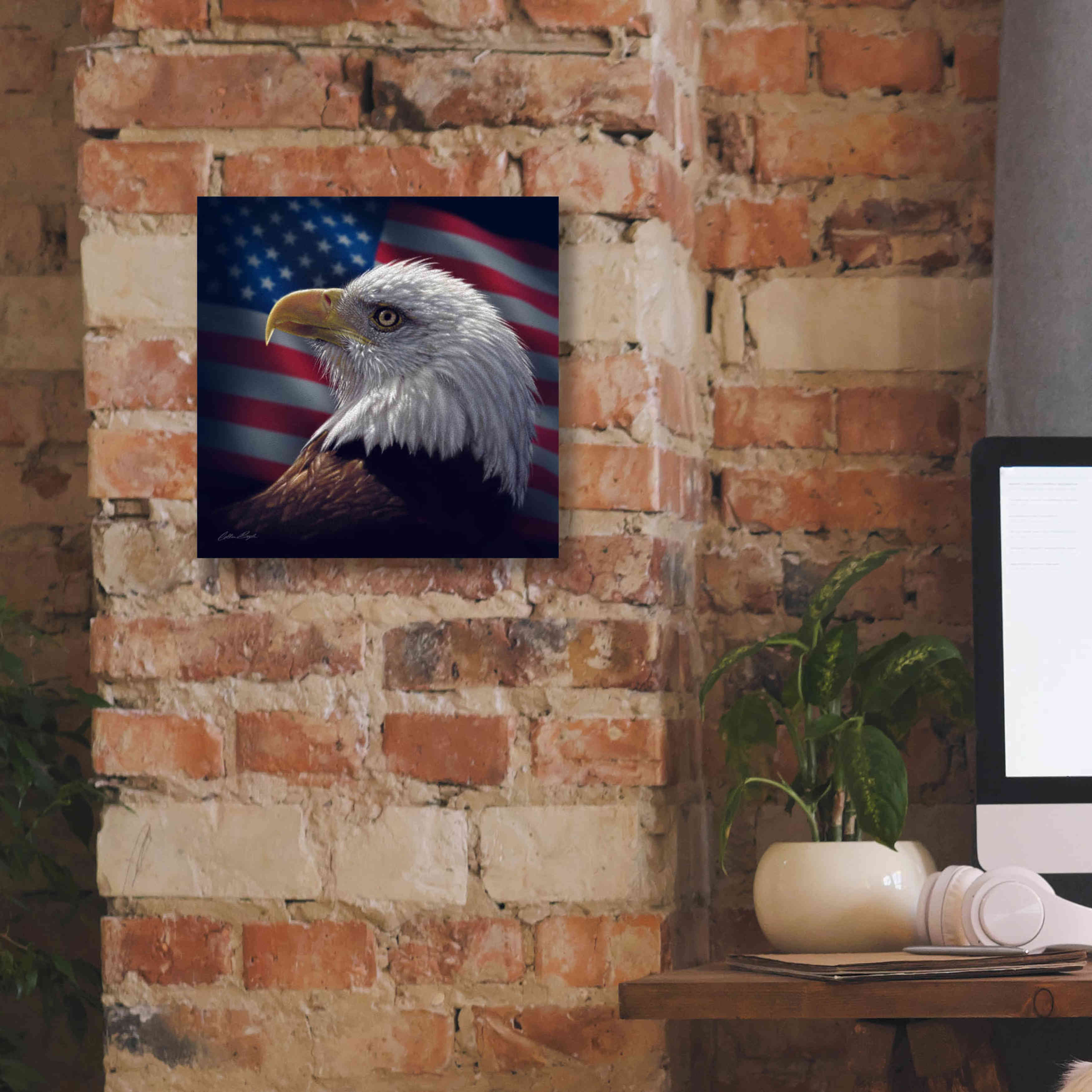 'American Bald Eagle' by Collin Bogle, Canvas Wall Art,12x12