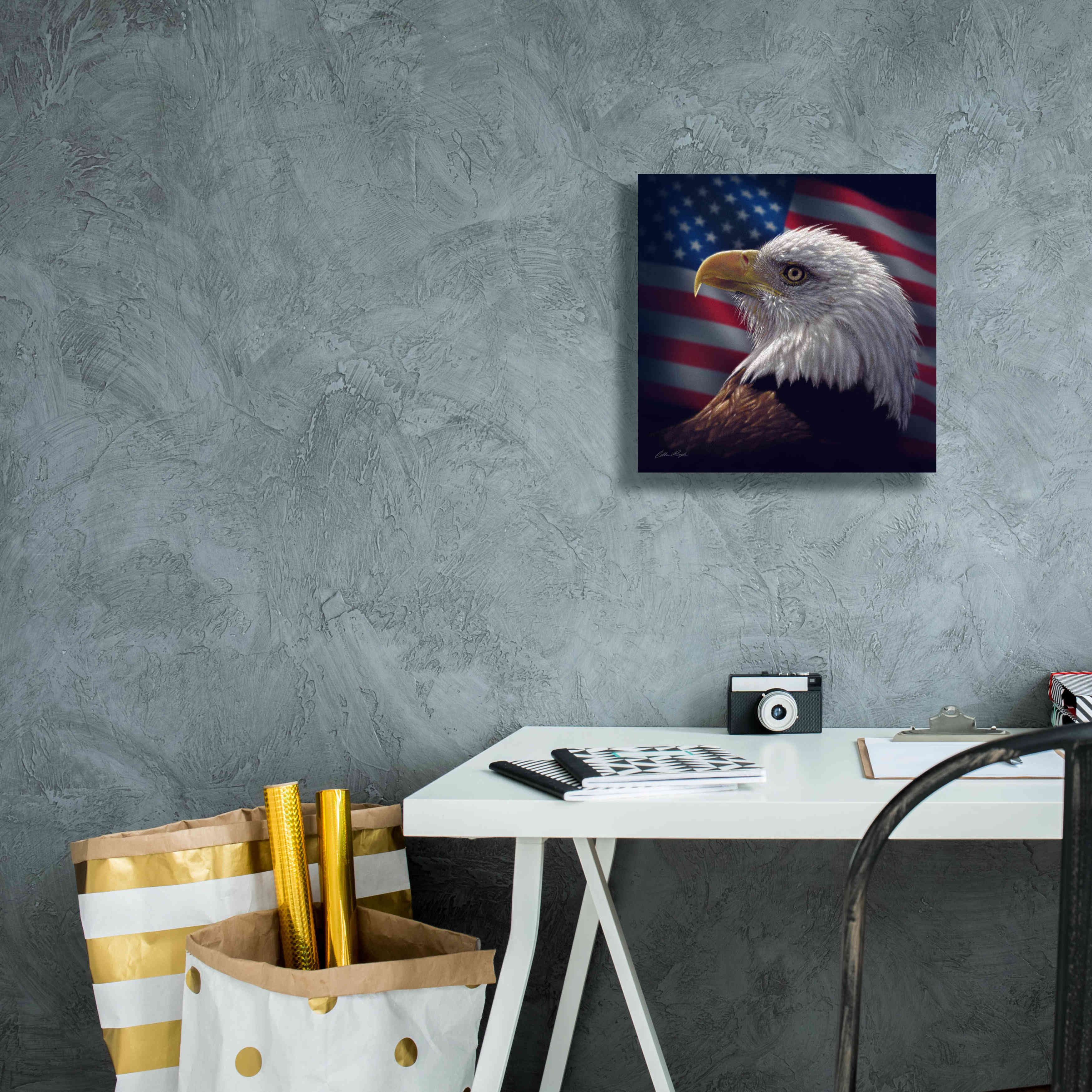 'American Bald Eagle' by Collin Bogle, Canvas Wall Art,12x12