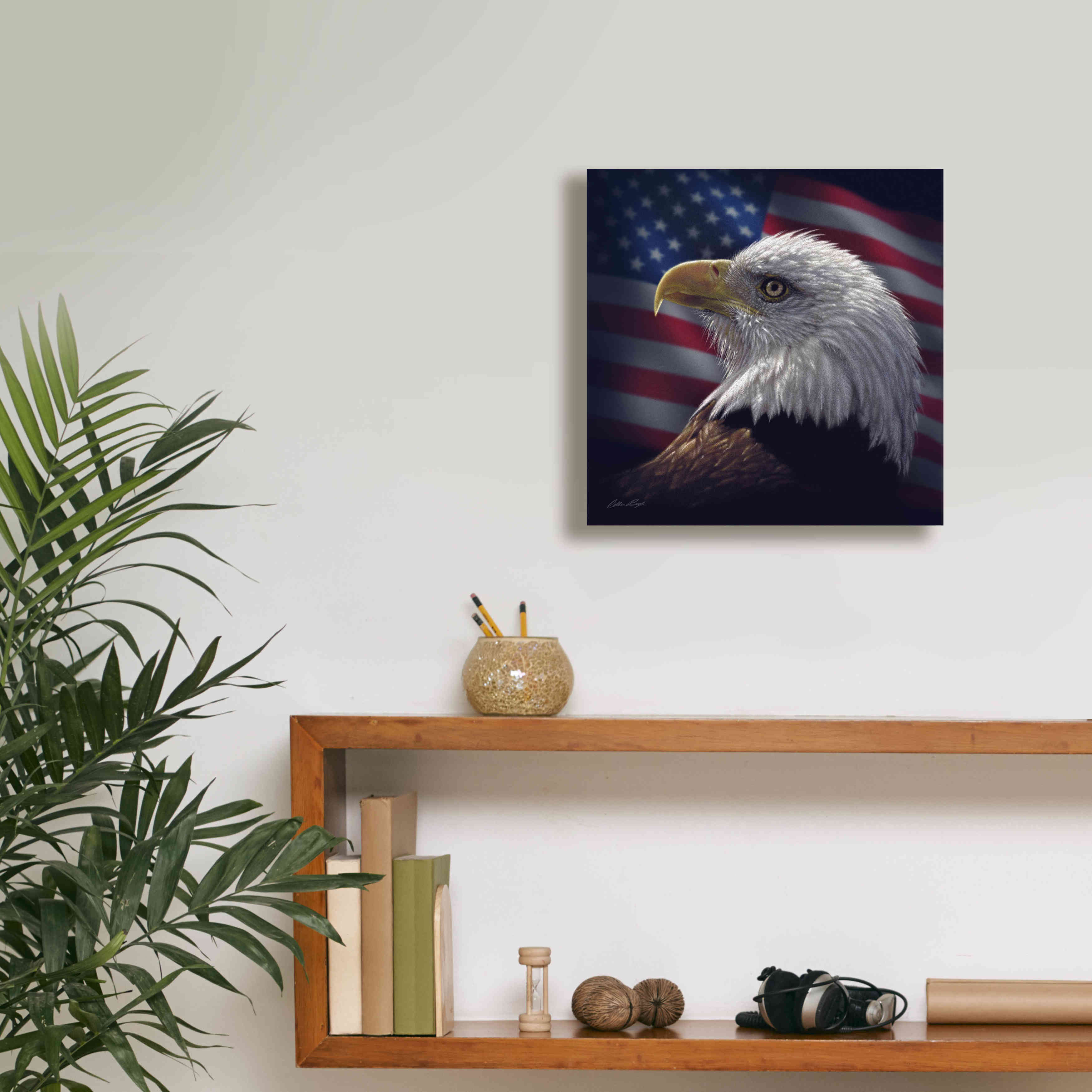 'American Bald Eagle' by Collin Bogle, Canvas Wall Art,12x12