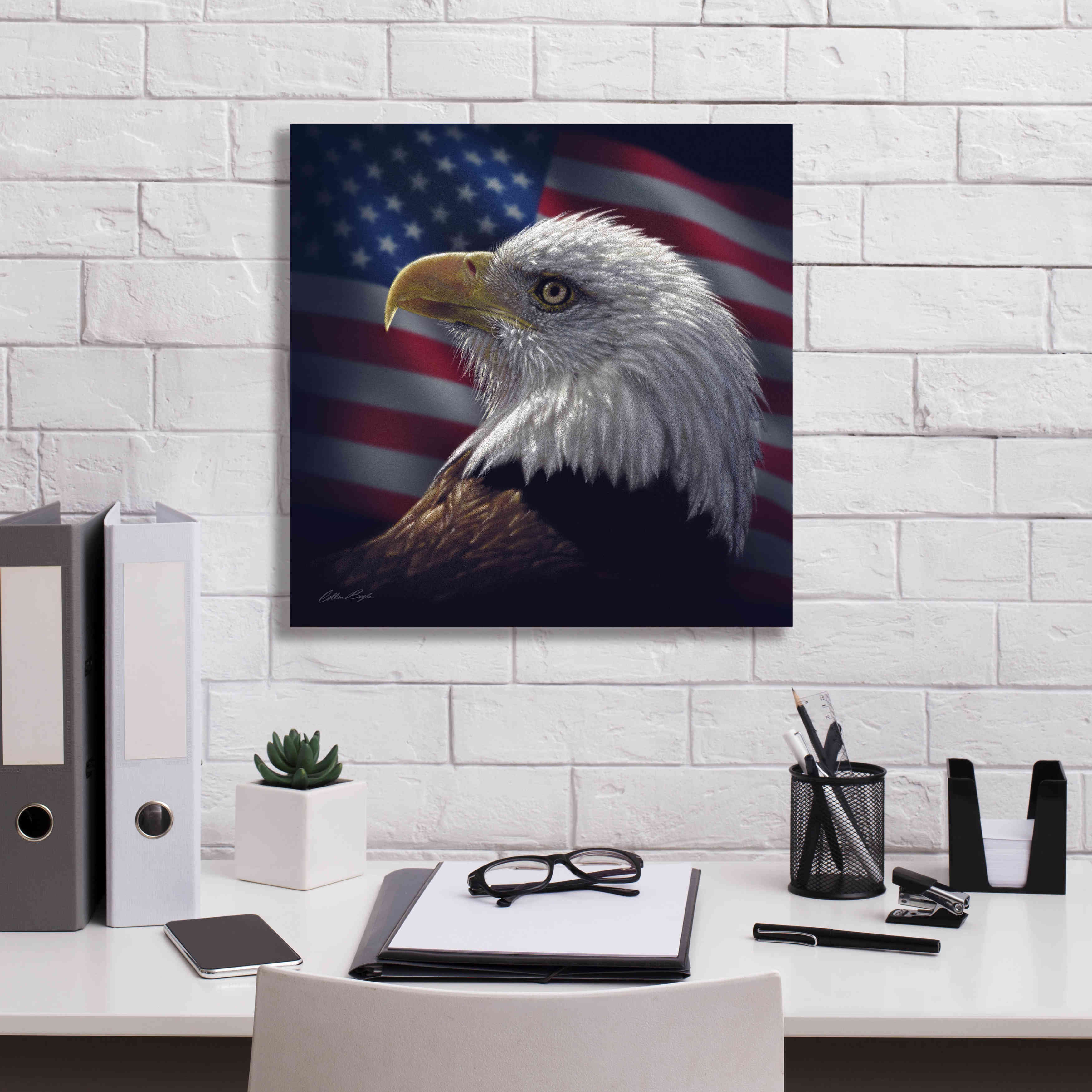 'American Bald Eagle' by Collin Bogle, Canvas Wall Art,18x18