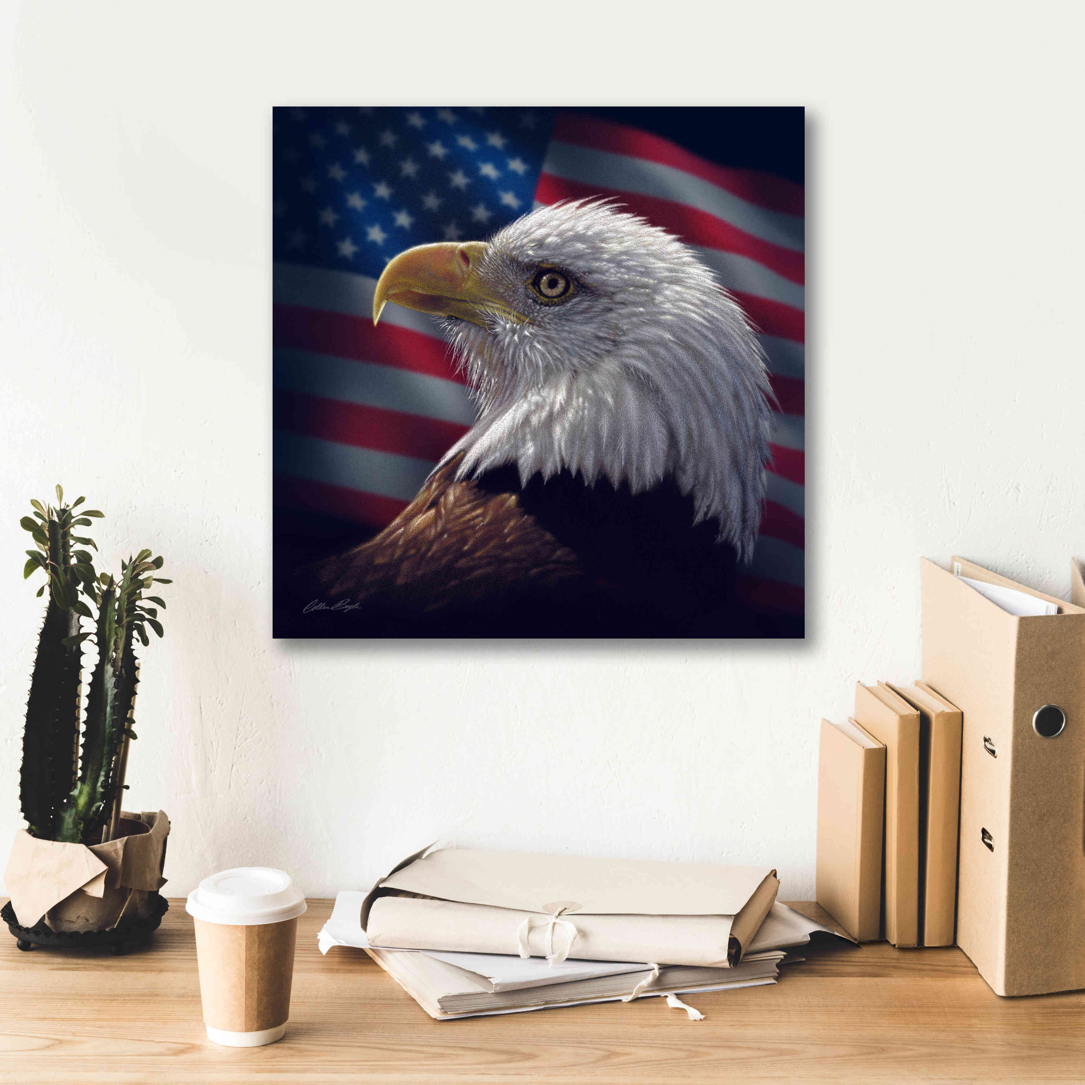 'American Bald Eagle' by Collin Bogle, Canvas Wall Art,18x18