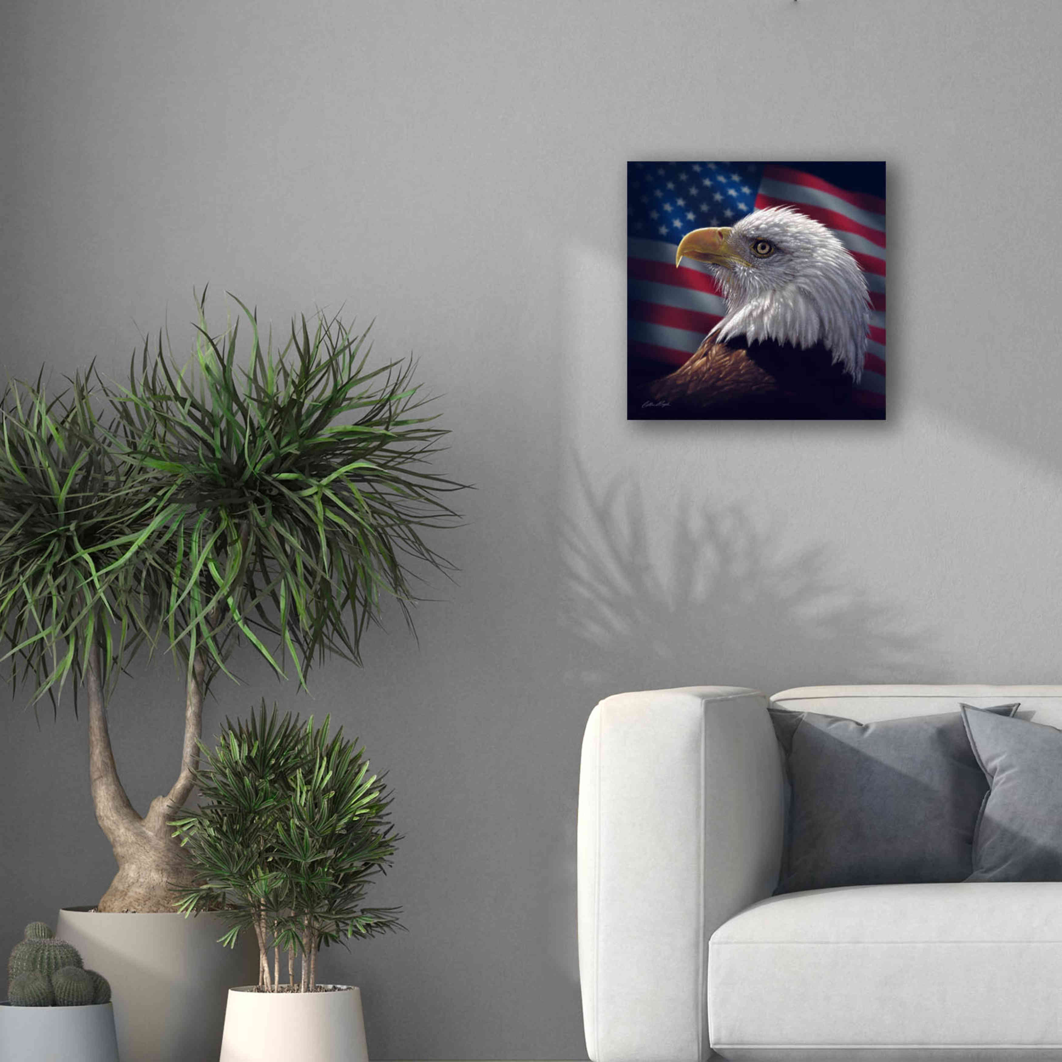 'American Bald Eagle' by Collin Bogle, Canvas Wall Art,18x18