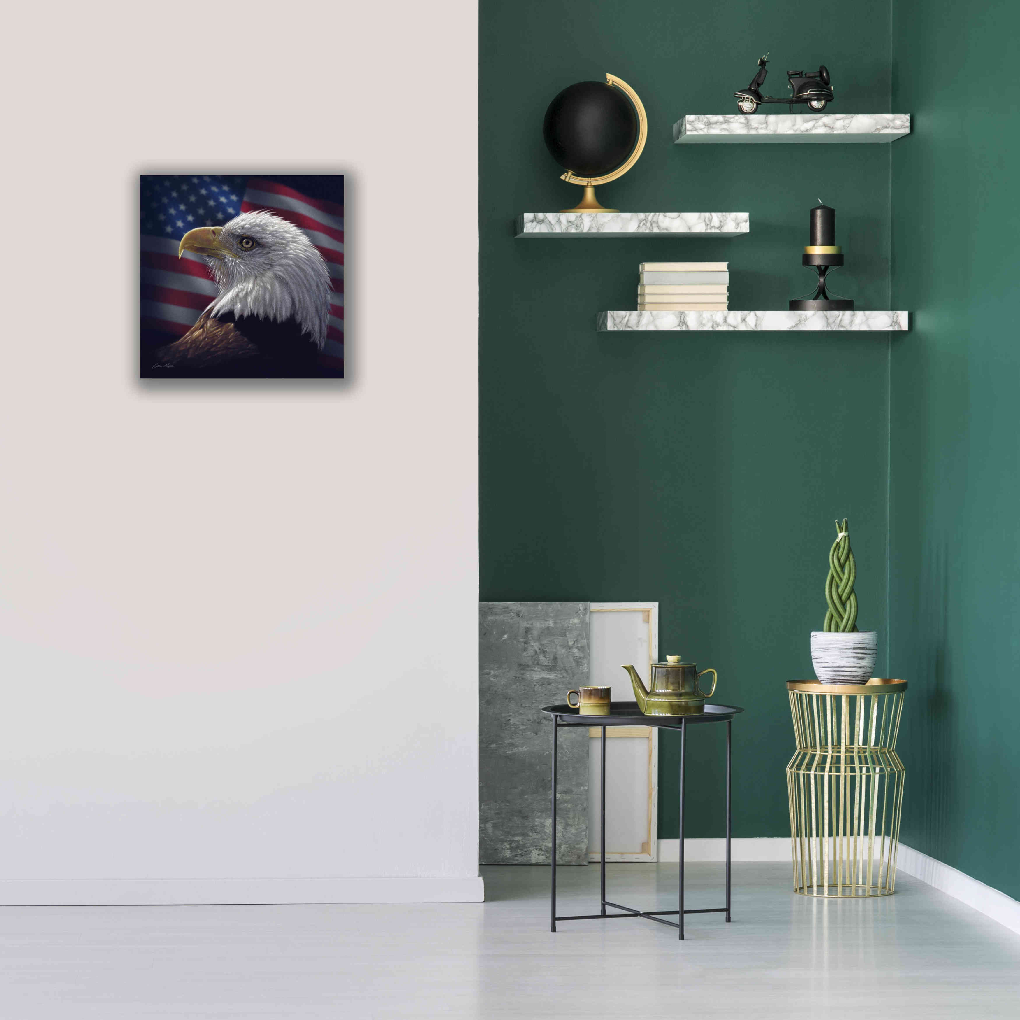 'American Bald Eagle' by Collin Bogle, Canvas Wall Art,18x18