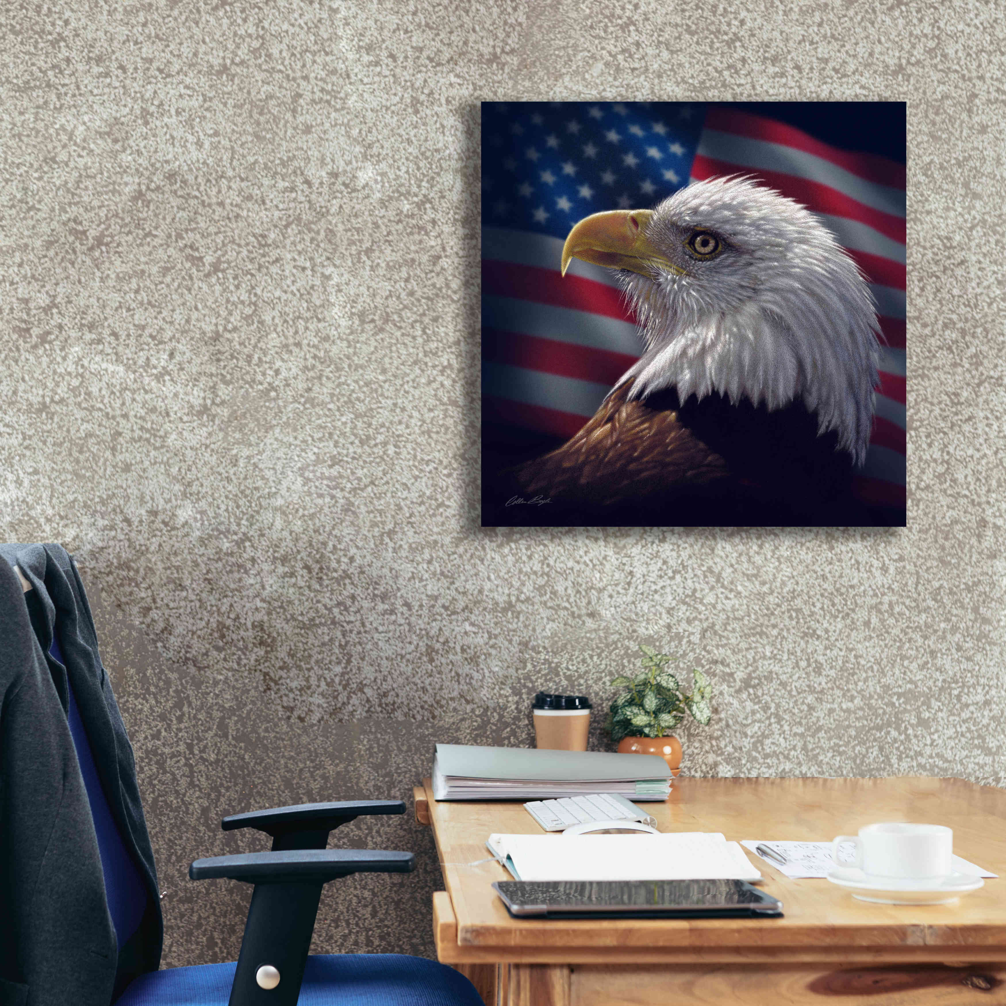 'American Bald Eagle' by Collin Bogle, Canvas Wall Art,26x26