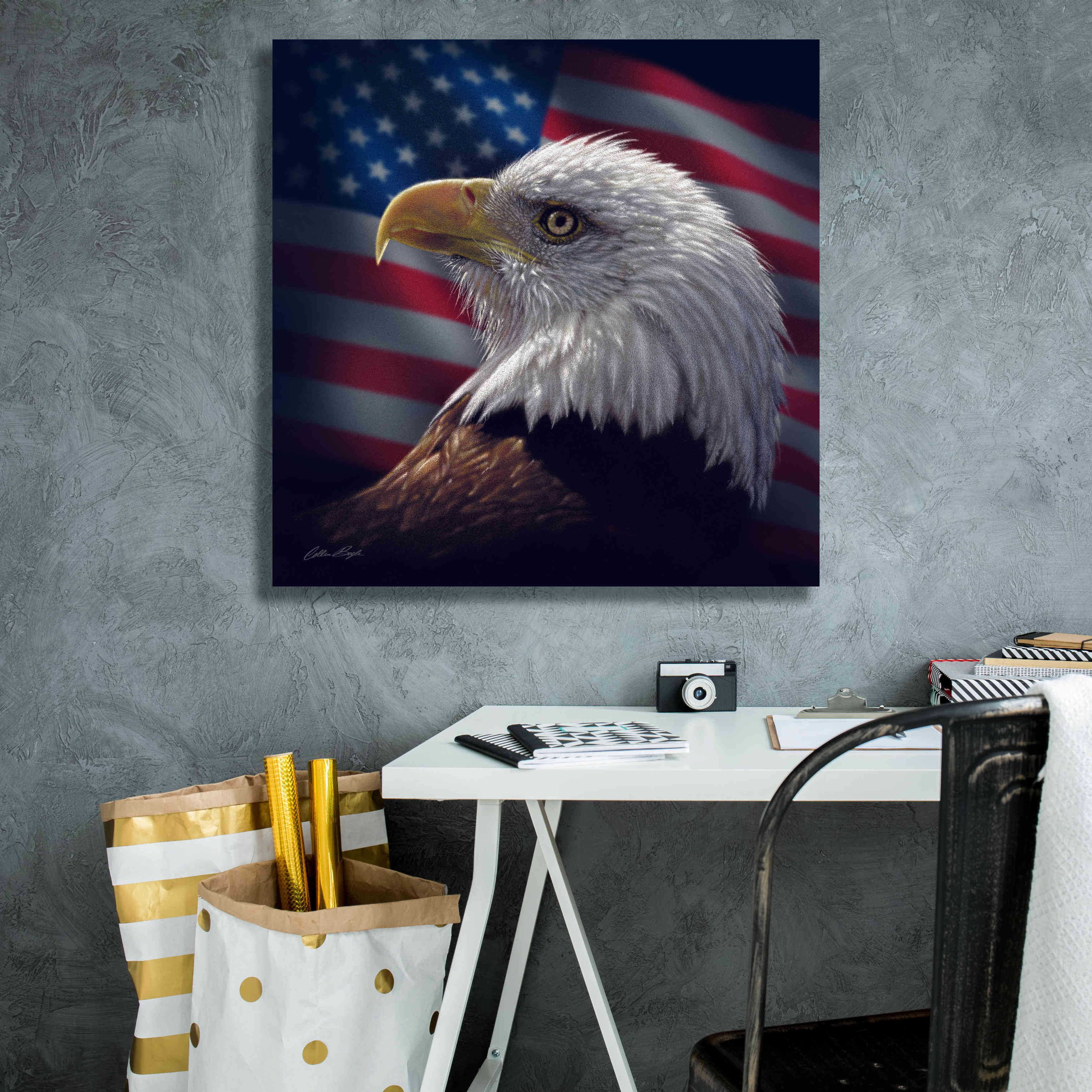 'American Bald Eagle' by Collin Bogle, Canvas Wall Art,26x26