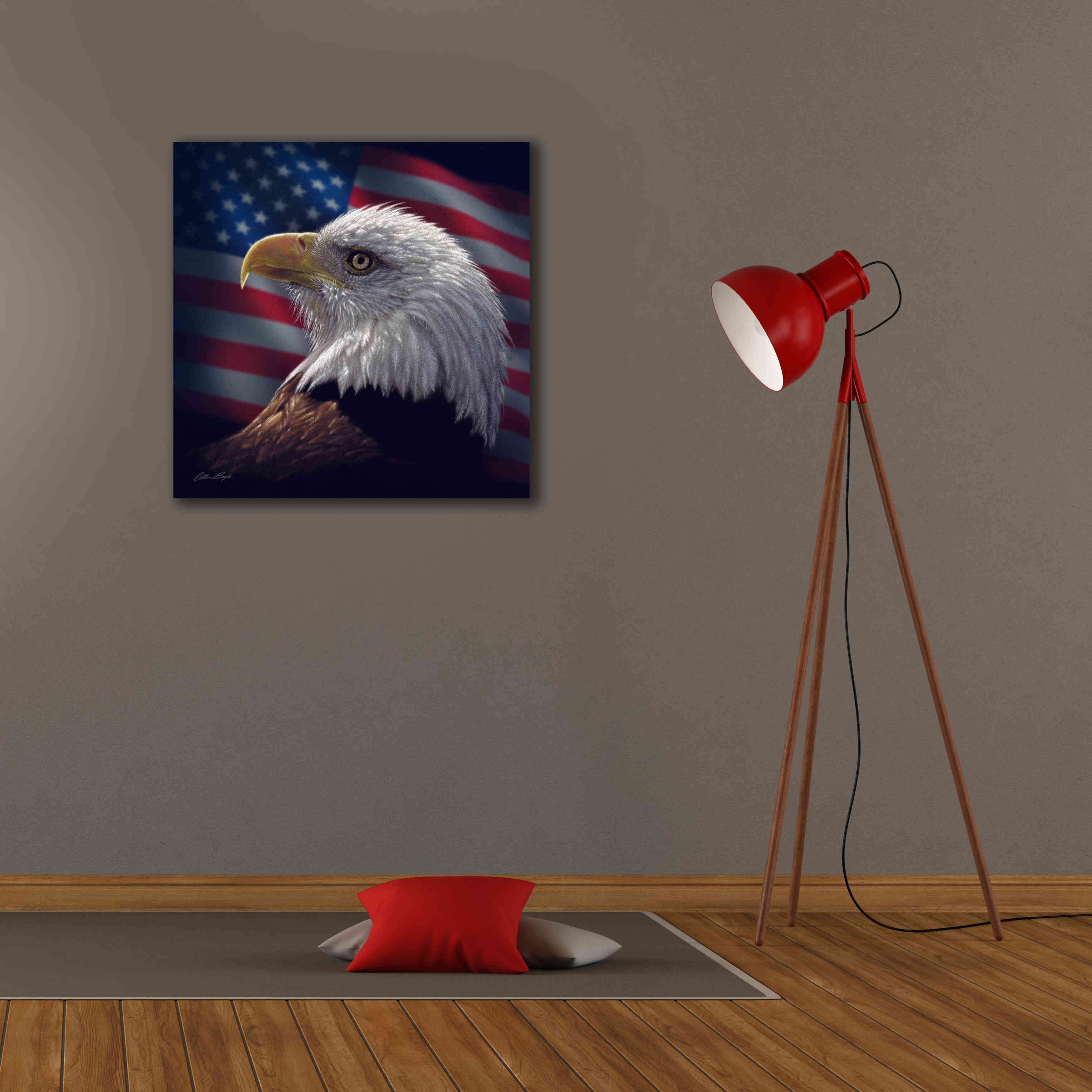 'American Bald Eagle' by Collin Bogle, Canvas Wall Art,26x26