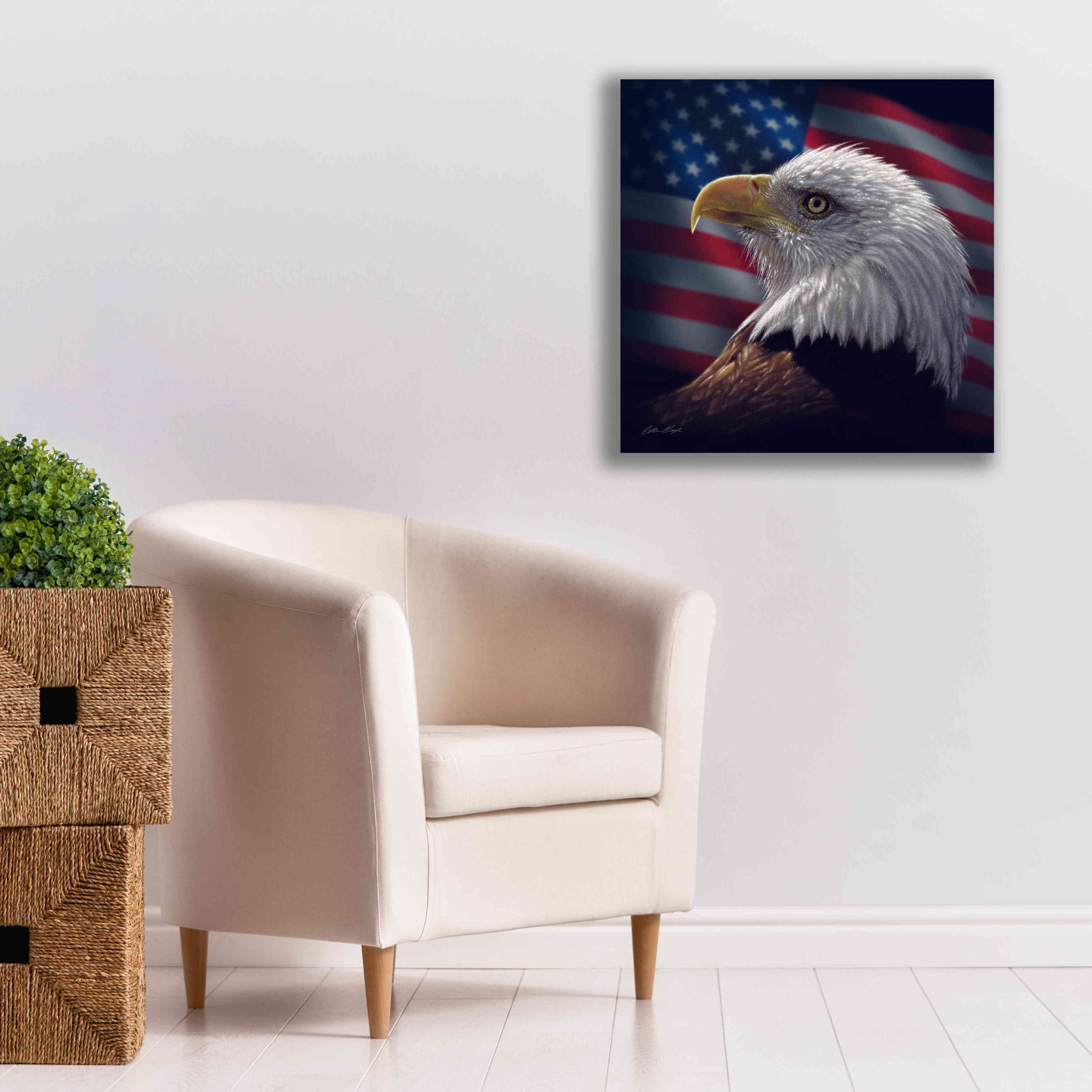 'American Bald Eagle' by Collin Bogle, Canvas Wall Art,26x26