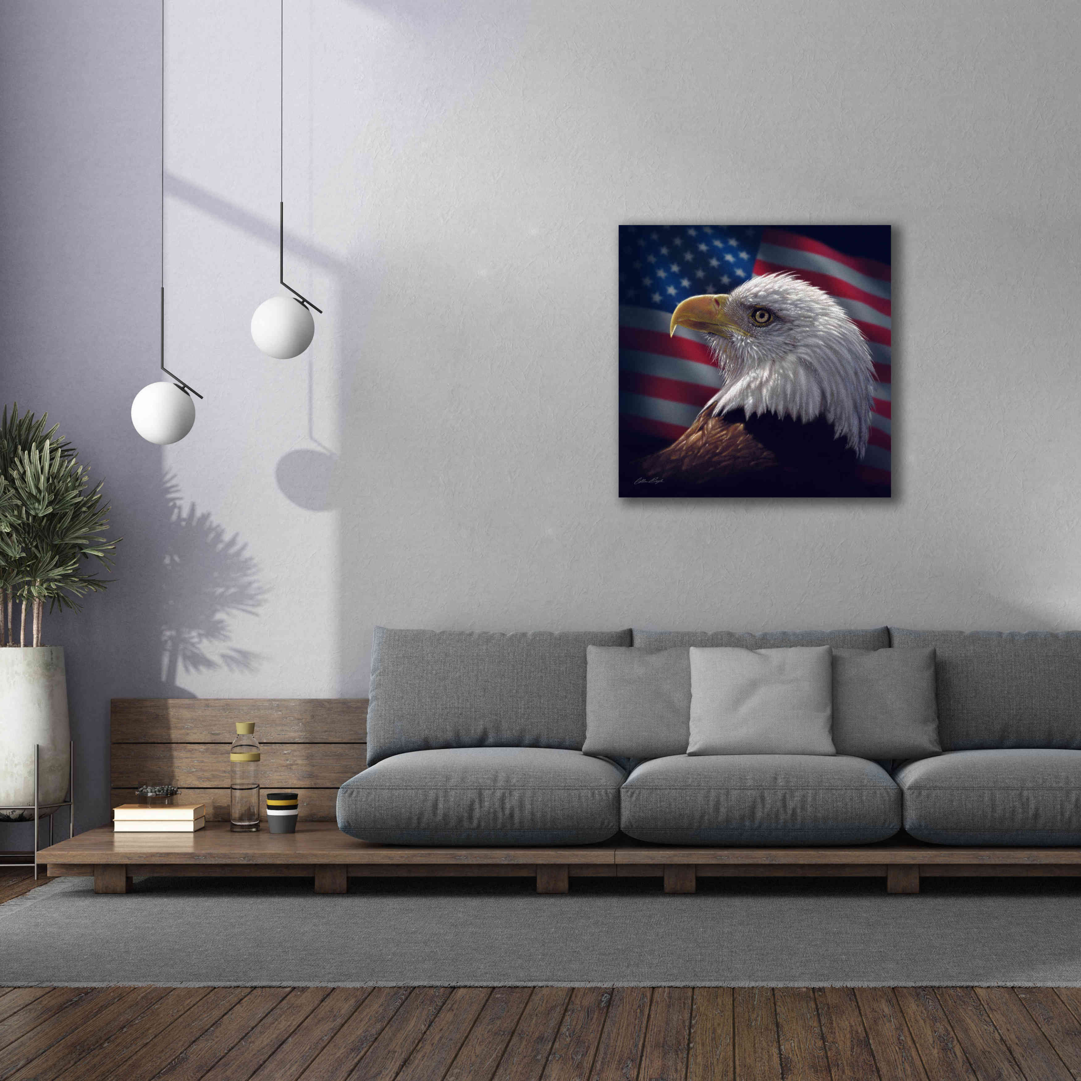 'American Bald Eagle' by Collin Bogle, Canvas Wall Art,37x37