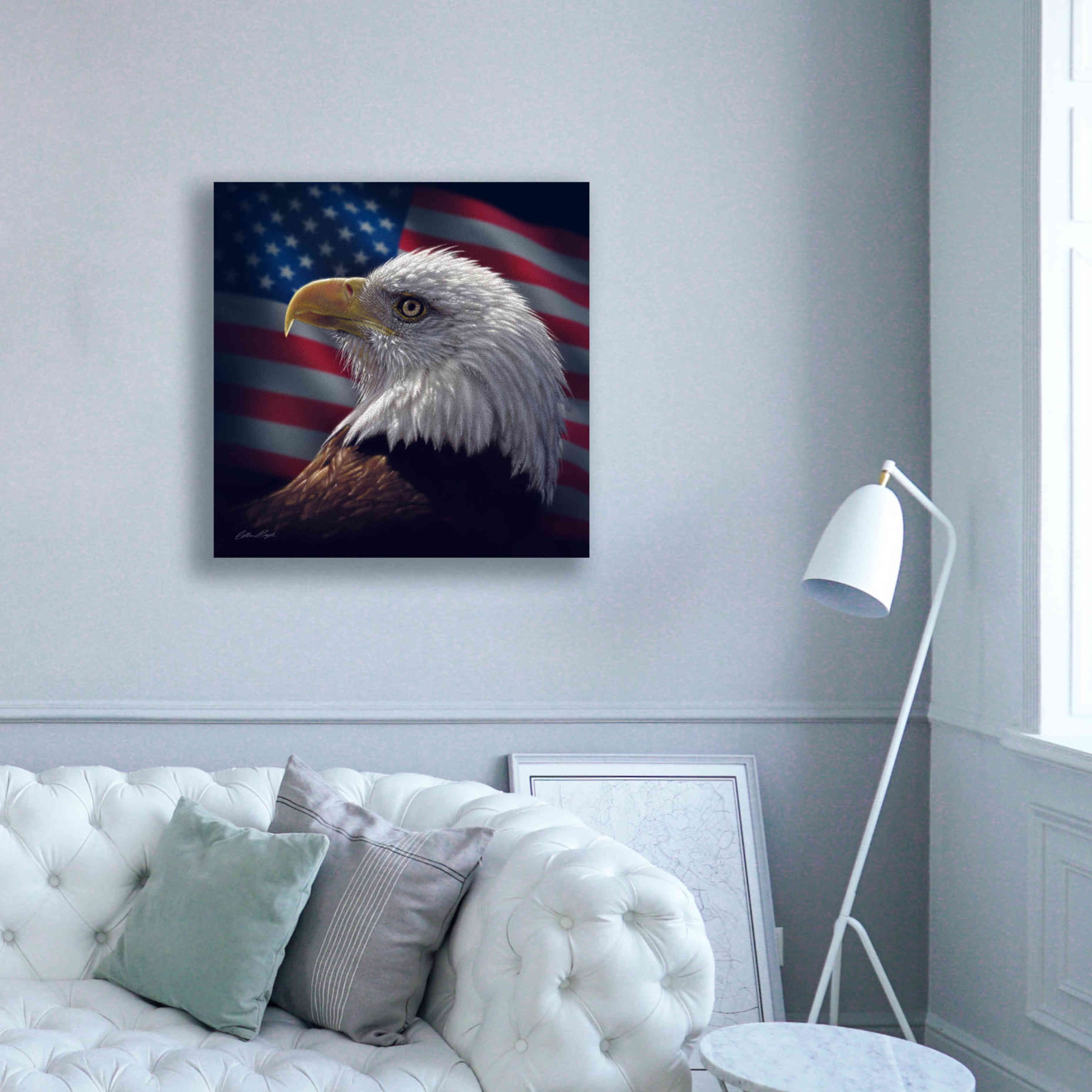 'American Bald Eagle' by Collin Bogle, Canvas Wall Art,37x37