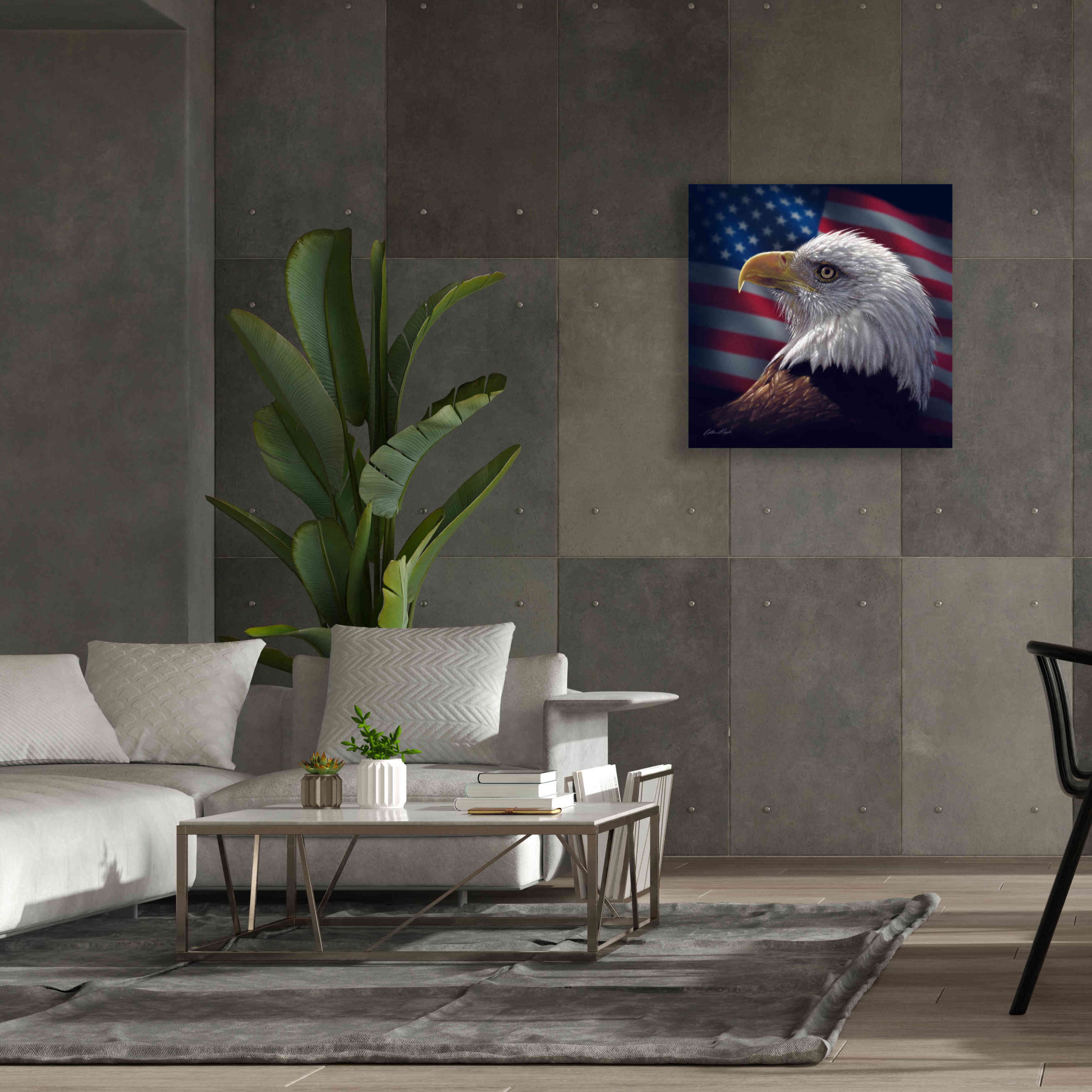 'American Bald Eagle' by Collin Bogle, Canvas Wall Art,37x37