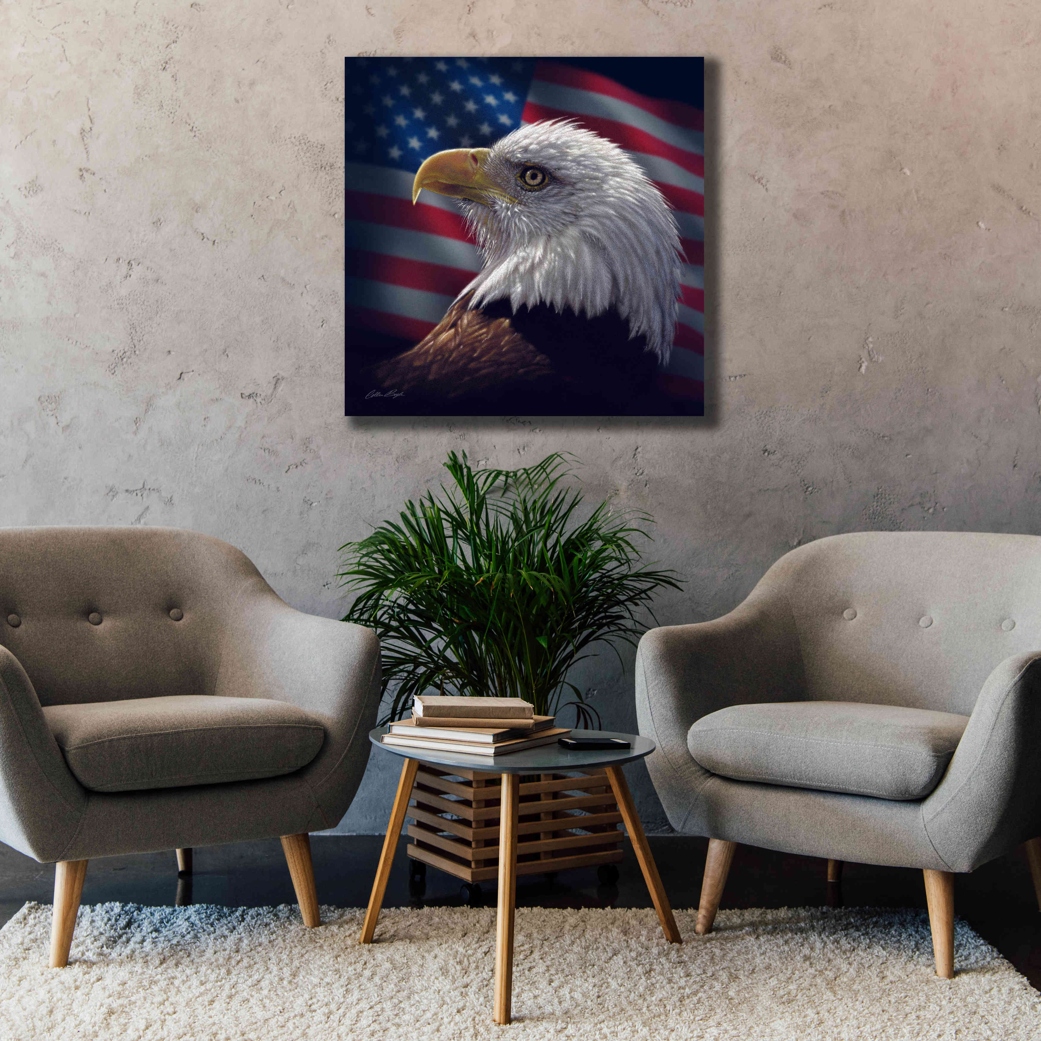'American Bald Eagle' by Collin Bogle, Canvas Wall Art,37x37