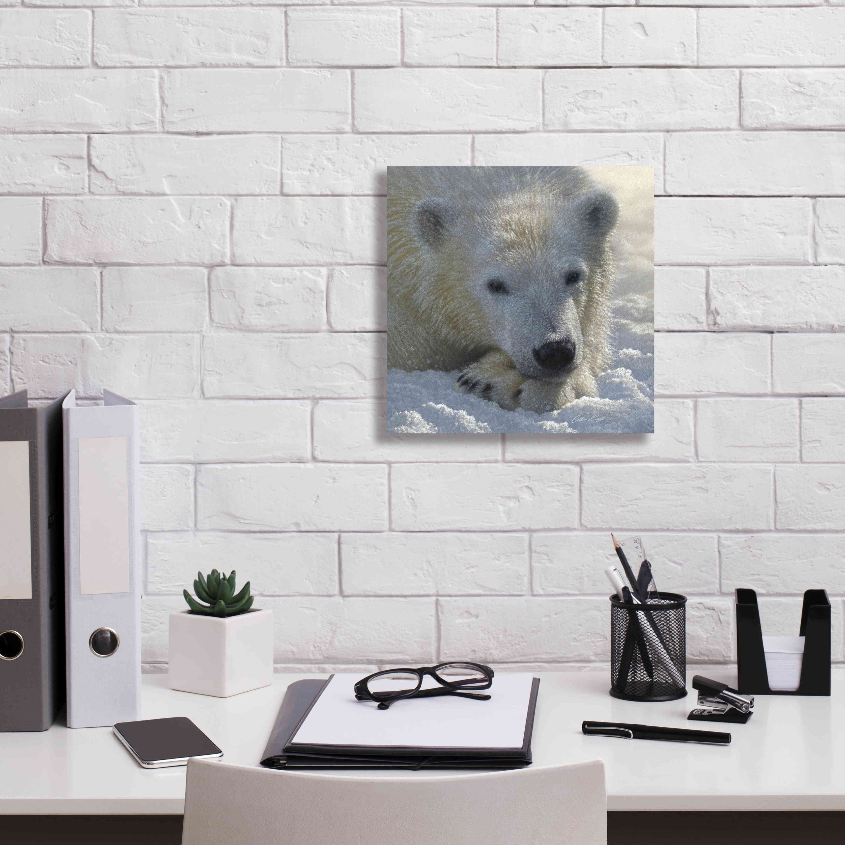 'Polar Bear Cub' by Collin Bogle, Canvas Wall Art,12x12