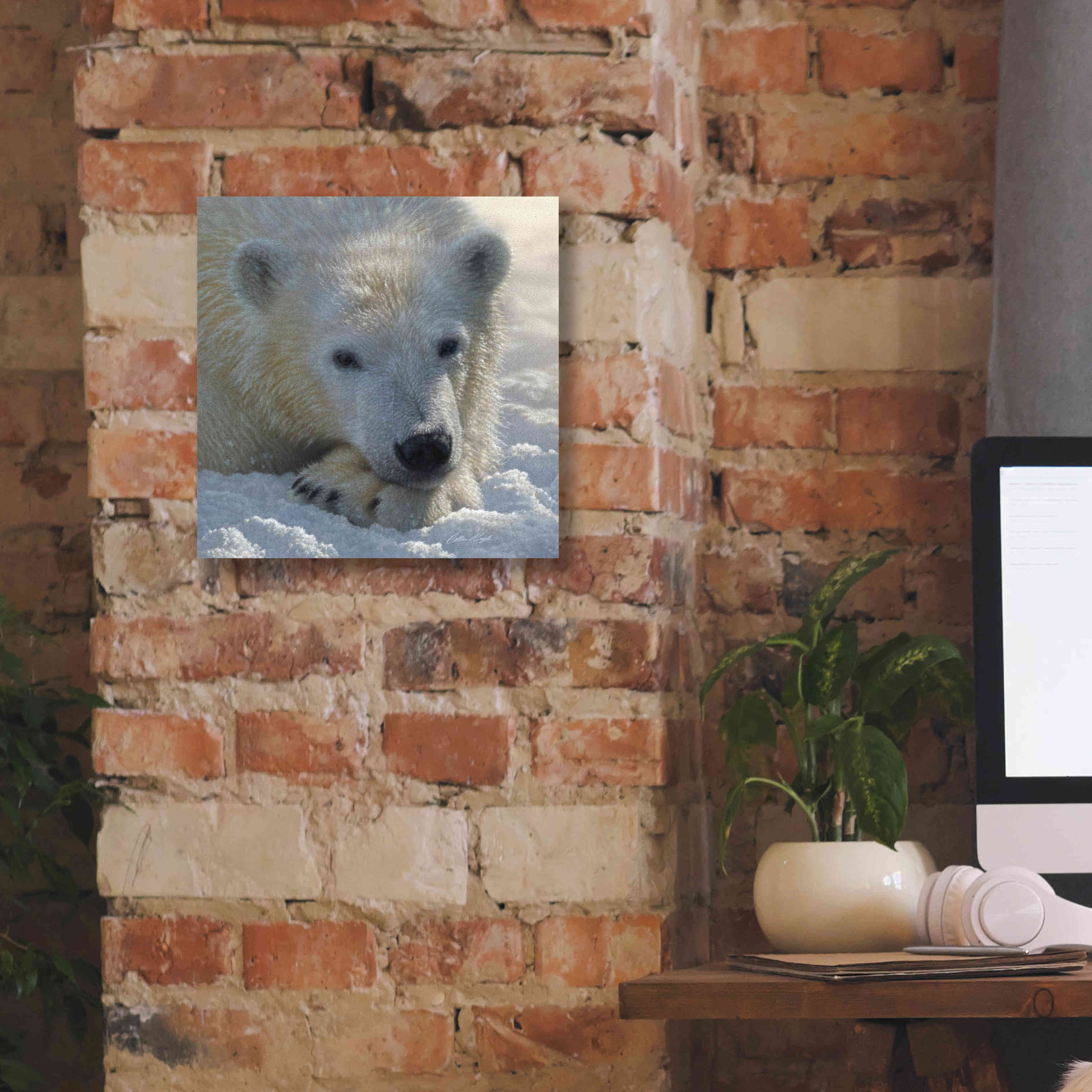 'Polar Bear Cub' by Collin Bogle, Canvas Wall Art,12x12