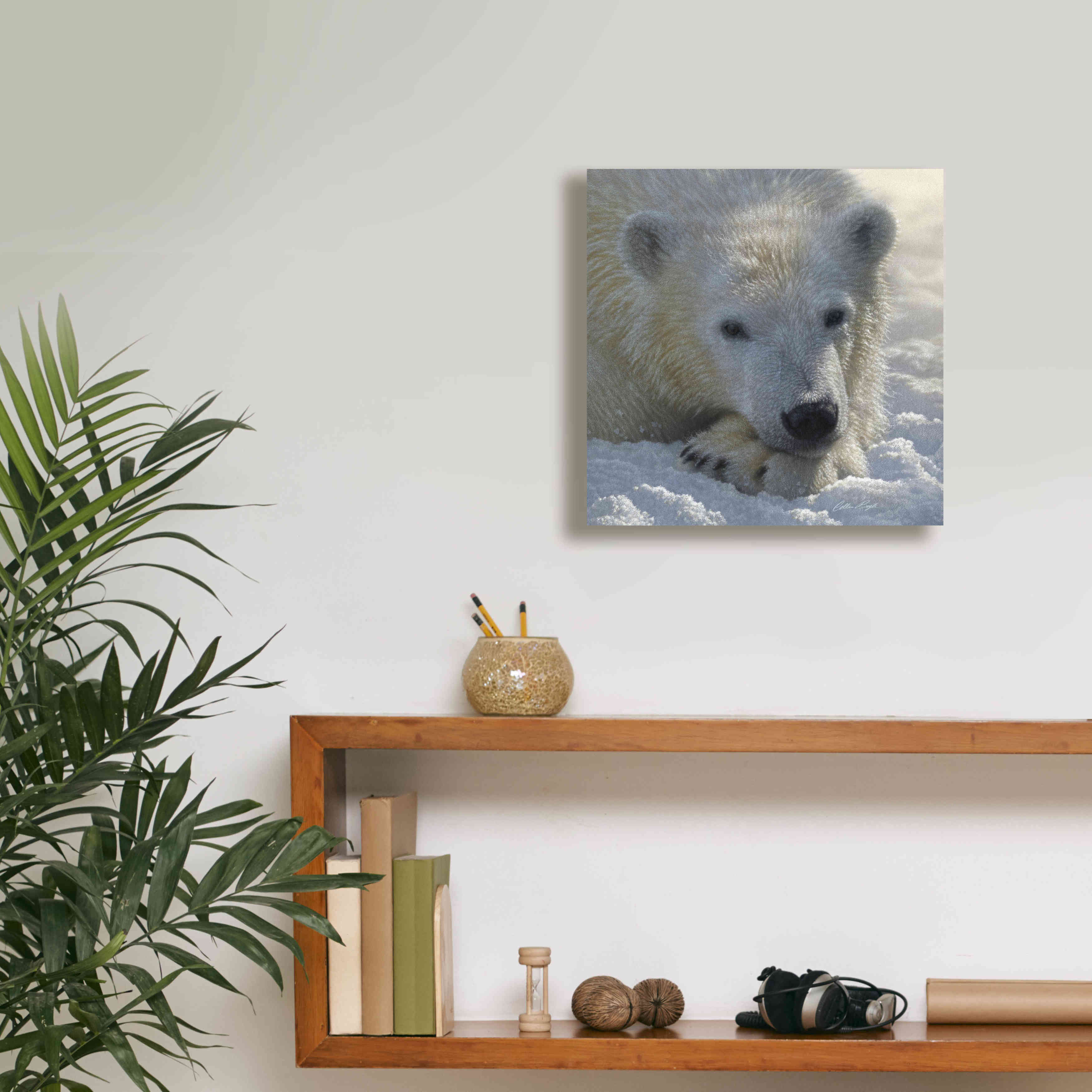'Polar Bear Cub' by Collin Bogle, Canvas Wall Art,12x12