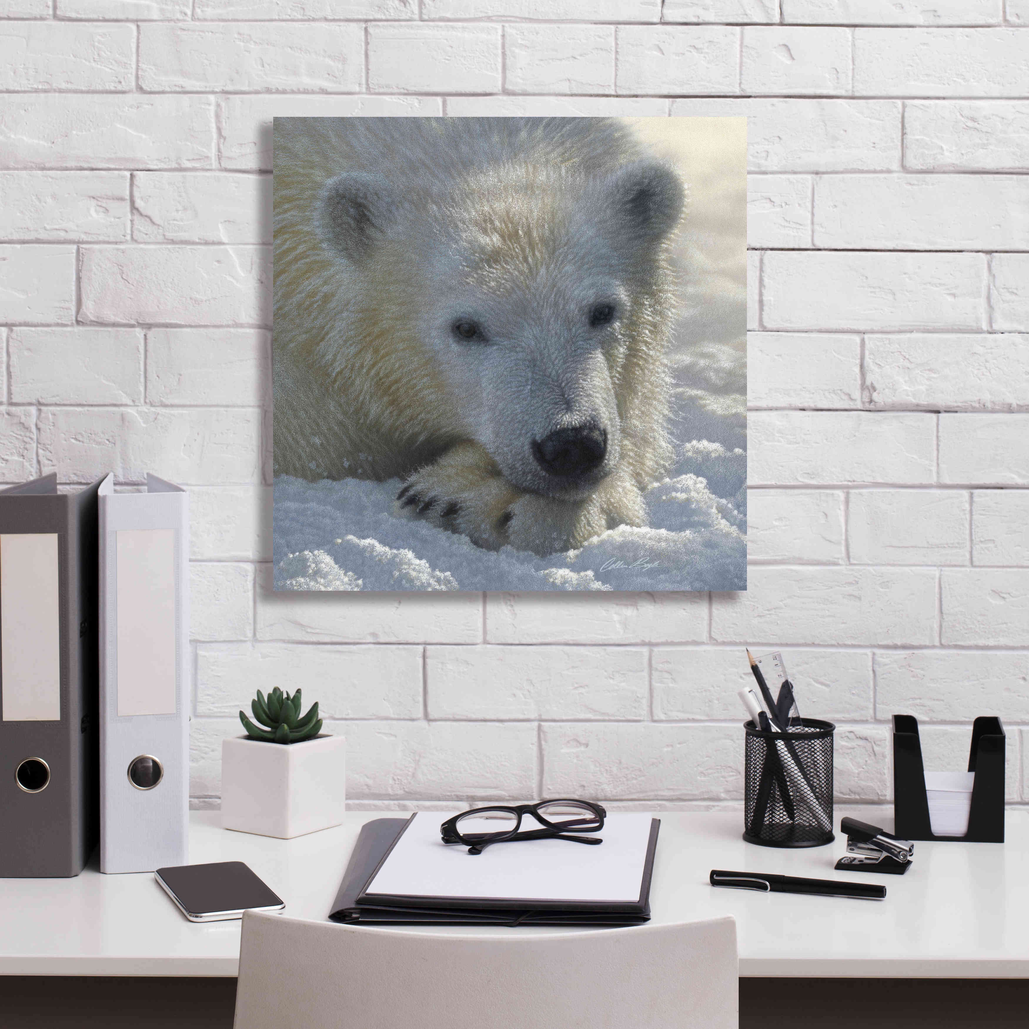 'Polar Bear Cub' by Collin Bogle, Canvas Wall Art,18x18