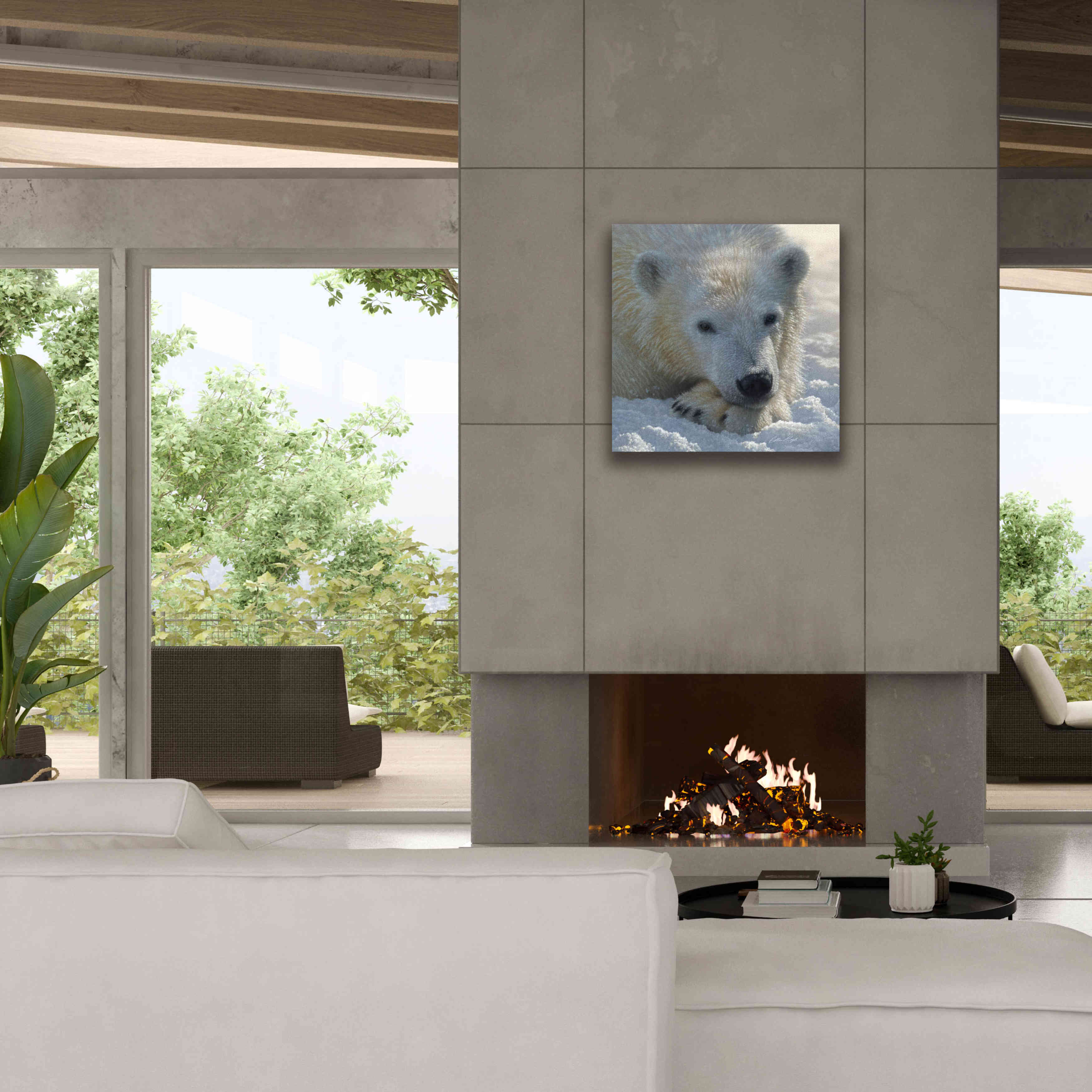 'Polar Bear Cub' by Collin Bogle, Canvas Wall Art,26x26