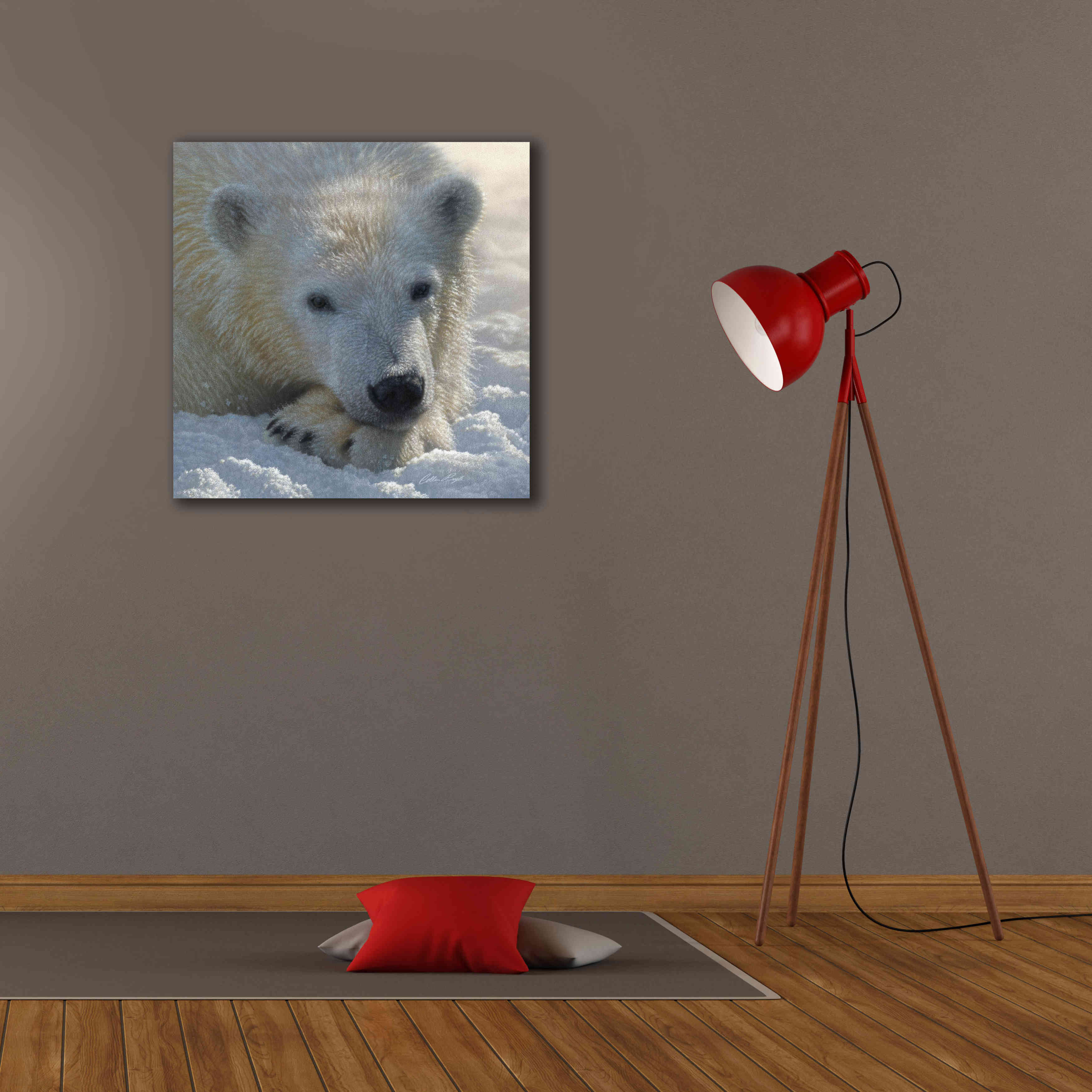 'Polar Bear Cub' by Collin Bogle, Canvas Wall Art,26x26