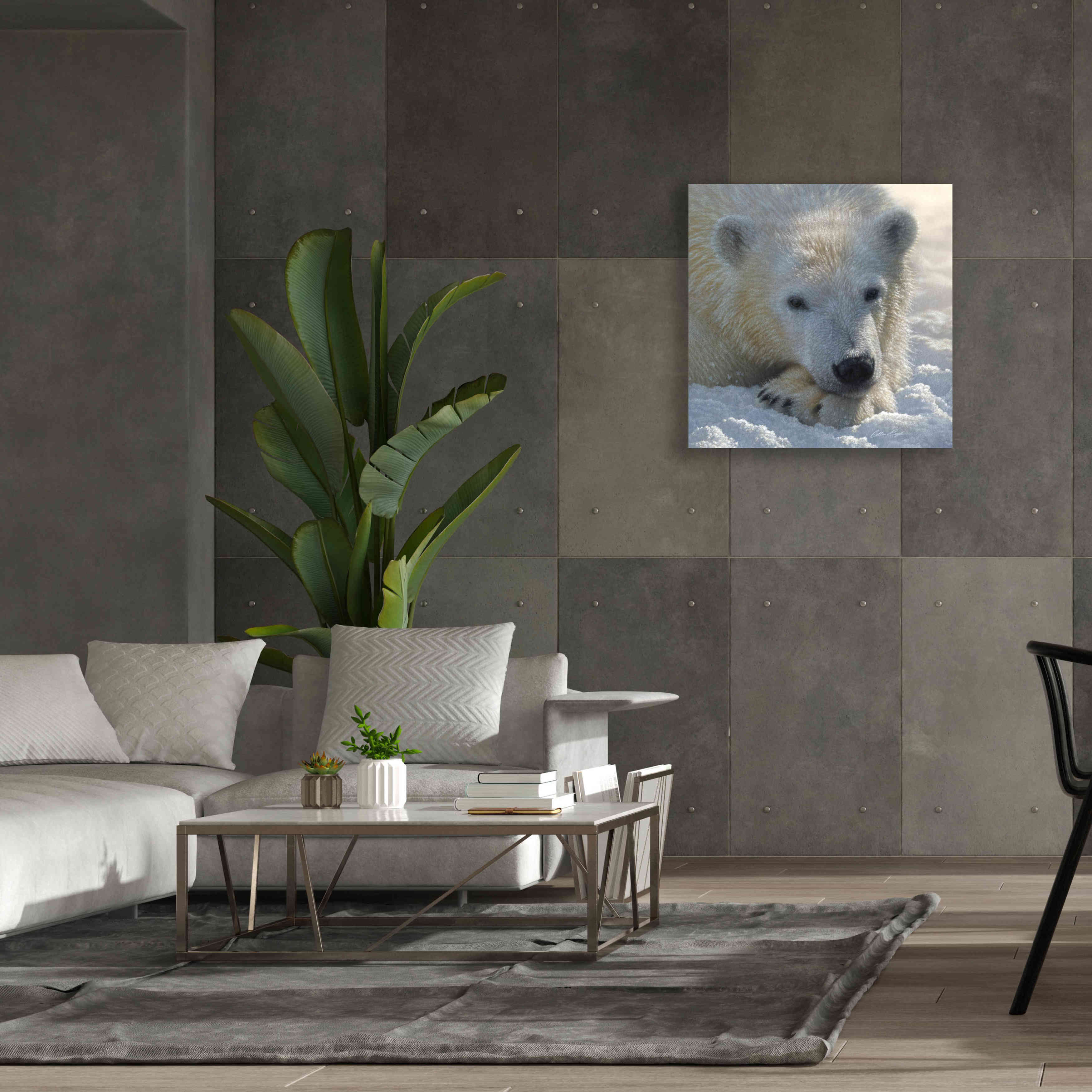 'Polar Bear Cub' by Collin Bogle, Canvas Wall Art,37x37