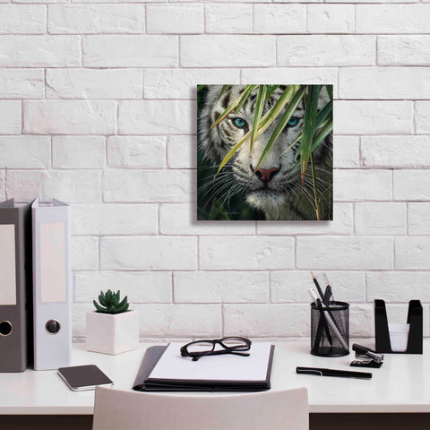 Image of 'Watching and Waiting' by Collin Bogle, Canvas Wall Art,12x12