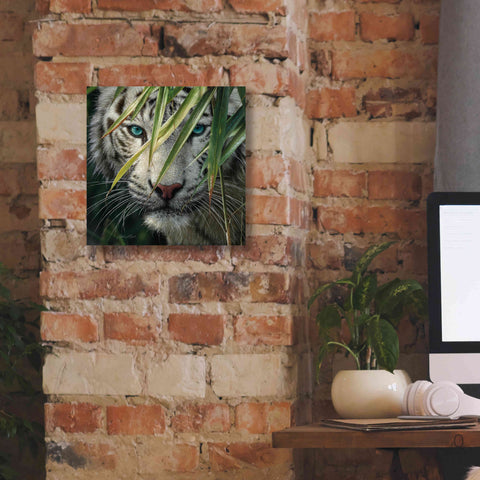 Image of 'Watching and Waiting' by Collin Bogle, Canvas Wall Art,12x12