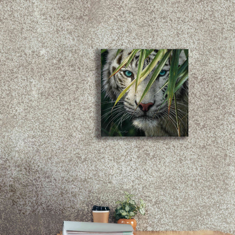 Image of 'Watching and Waiting' by Collin Bogle, Canvas Wall Art,18x18