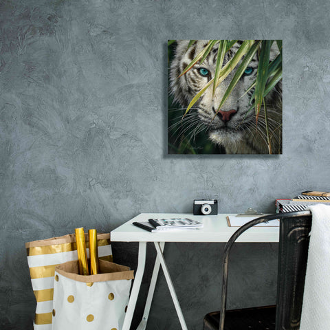 Image of 'Watching and Waiting' by Collin Bogle, Canvas Wall Art,18x18