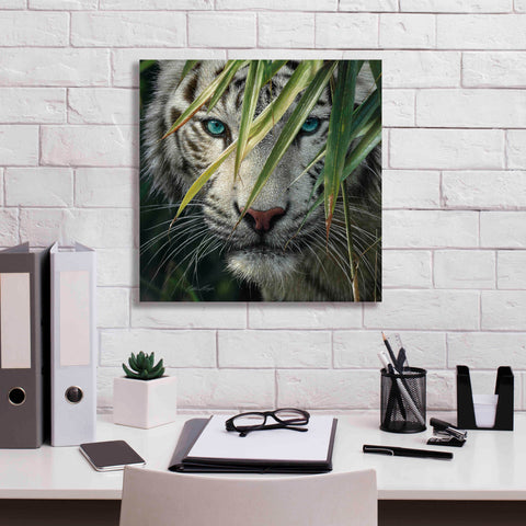 Image of 'Watching and Waiting' by Collin Bogle, Canvas Wall Art,18x18