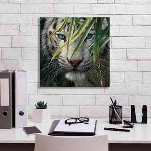 'Watching and Waiting' by Collin Bogle, Canvas Wall Art,18x18