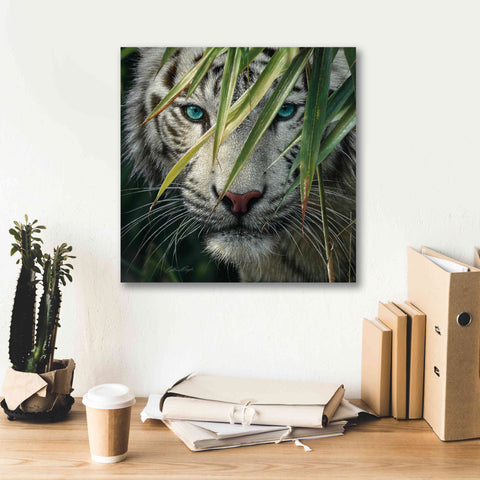 Image of 'Watching and Waiting' by Collin Bogle, Canvas Wall Art,18x18