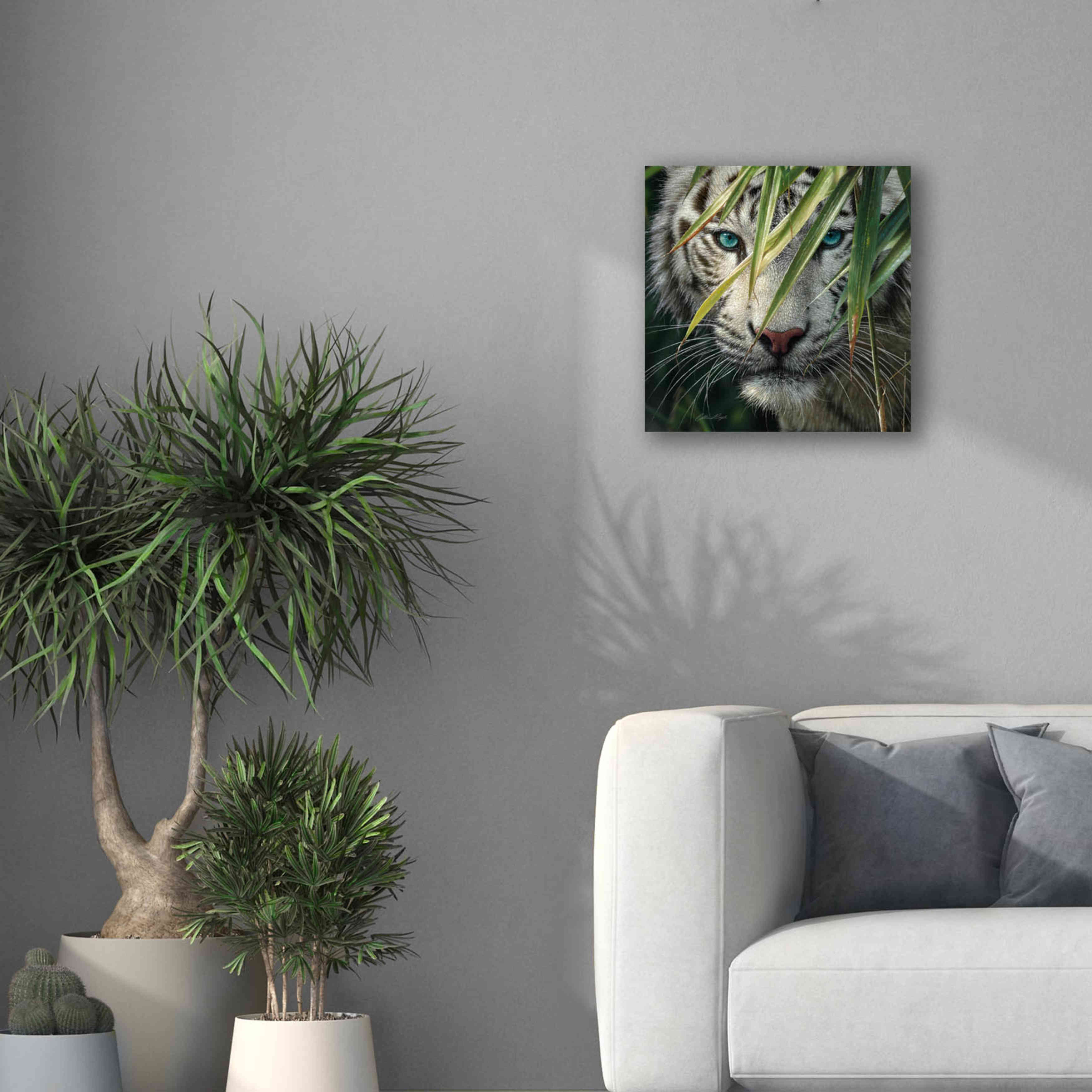 'Watching and Waiting' by Collin Bogle, Canvas Wall Art,18x18