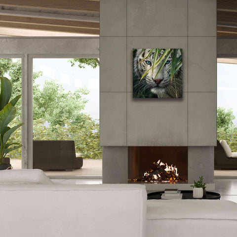 Image of 'Watching and Waiting' by Collin Bogle, Canvas Wall Art,26x26