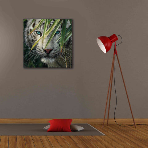 Image of 'Watching and Waiting' by Collin Bogle, Canvas Wall Art,26x26