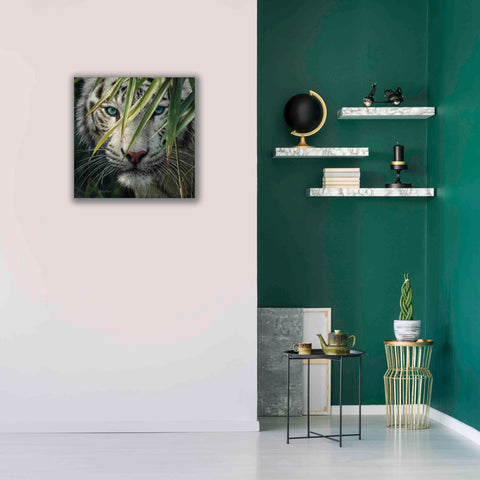 Image of 'Watching and Waiting' by Collin Bogle, Canvas Wall Art,26x26