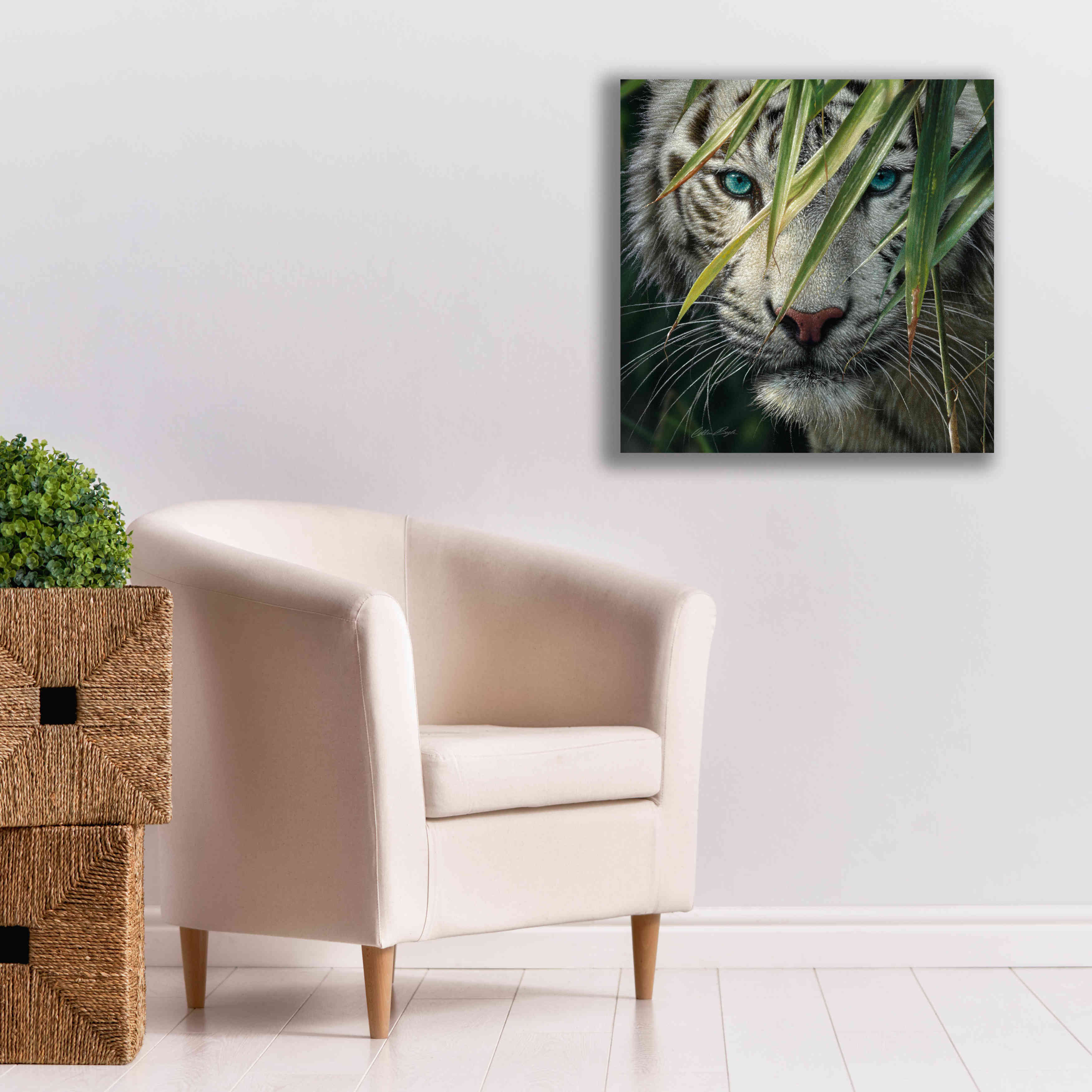 'Watching and Waiting' by Collin Bogle, Canvas Wall Art,26x26