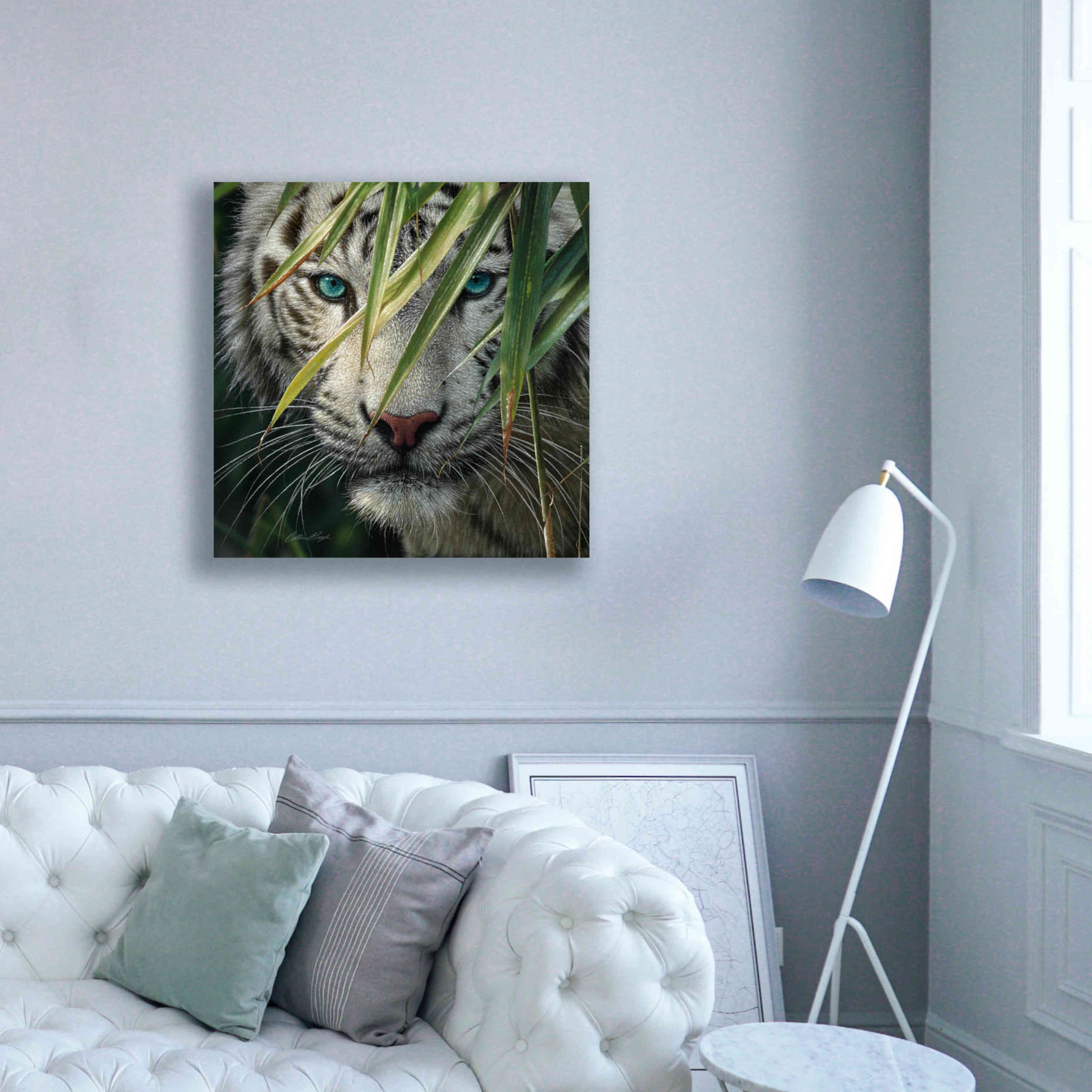 'Watching and Waiting' by Collin Bogle, Canvas Wall Art,37x37