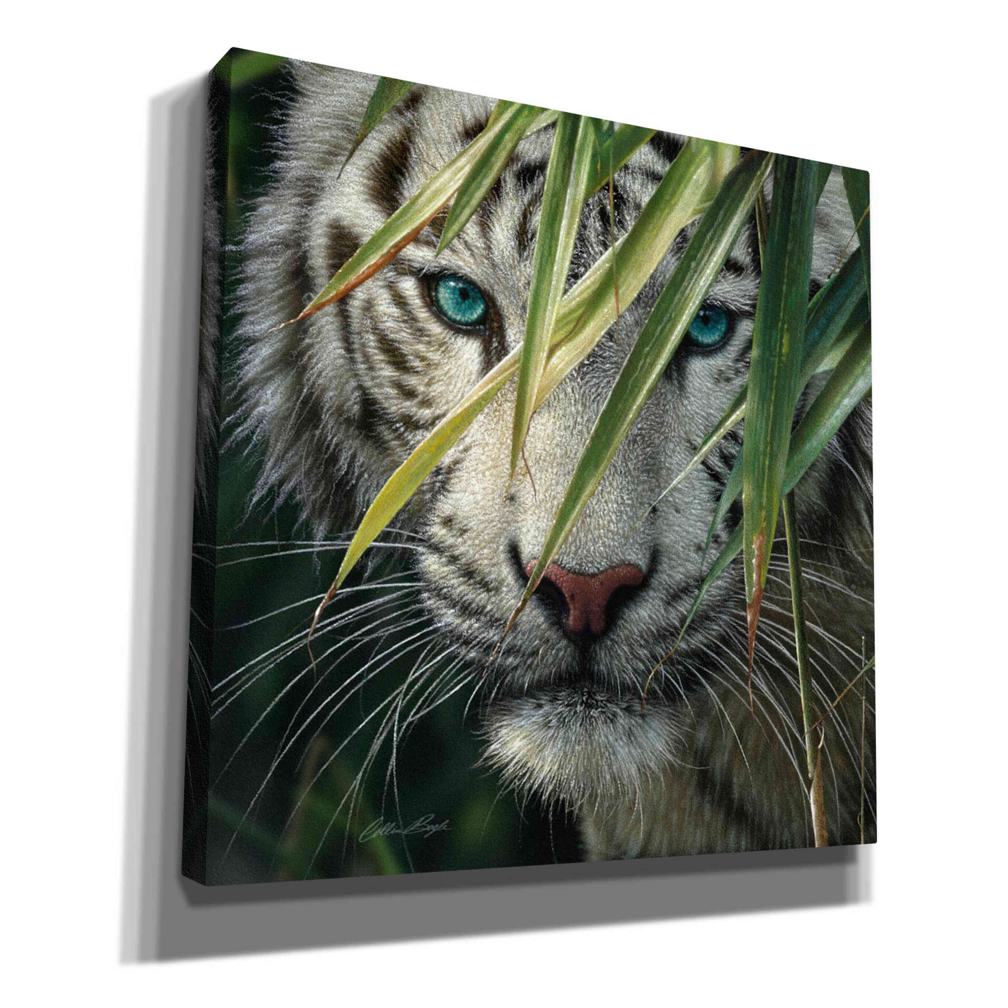 'Watching and Waiting' by Collin Bogle, Canvas Wall Art,Size 1 Square