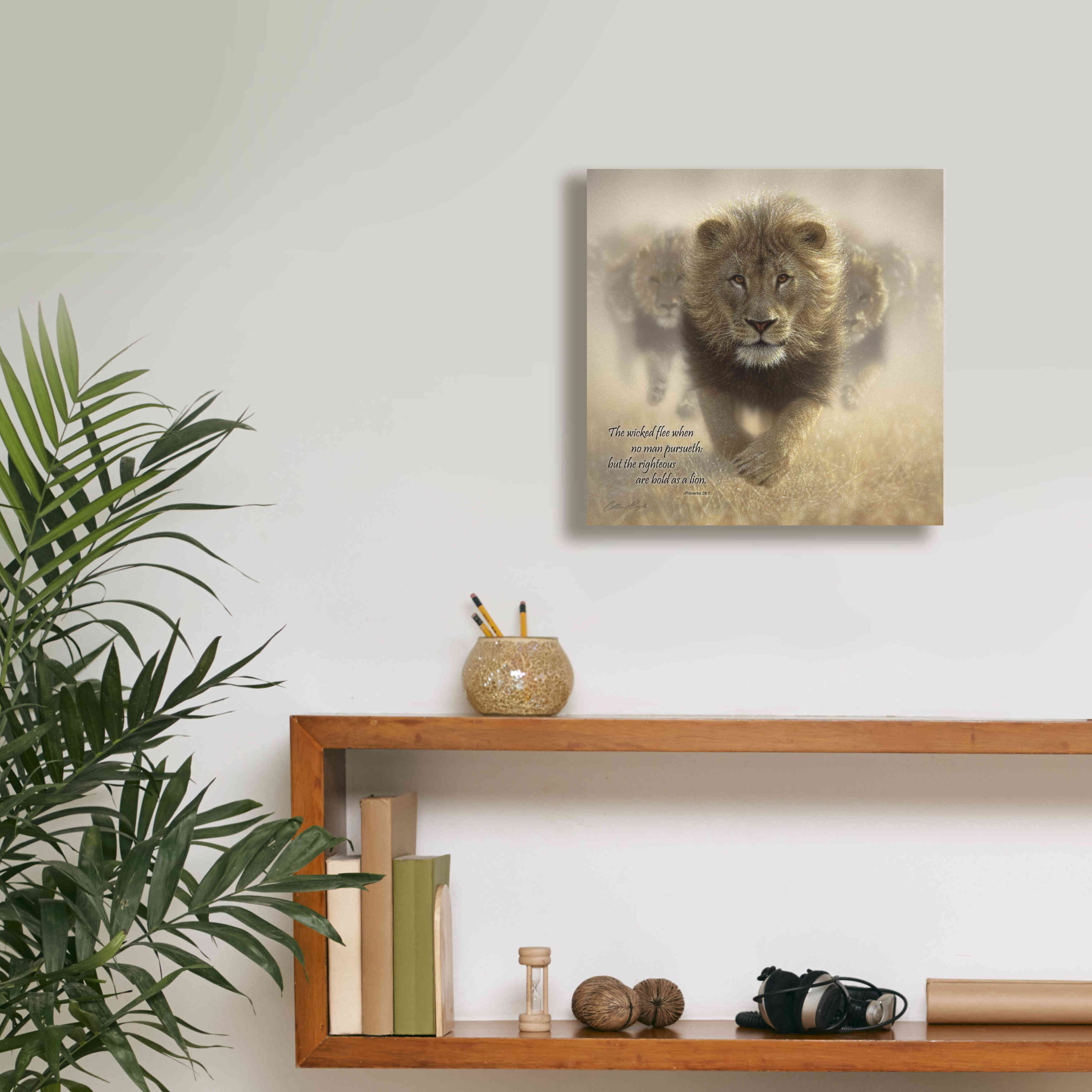 'Wicked Flee' by Collin Bogle, Canvas Wall Art,12x12