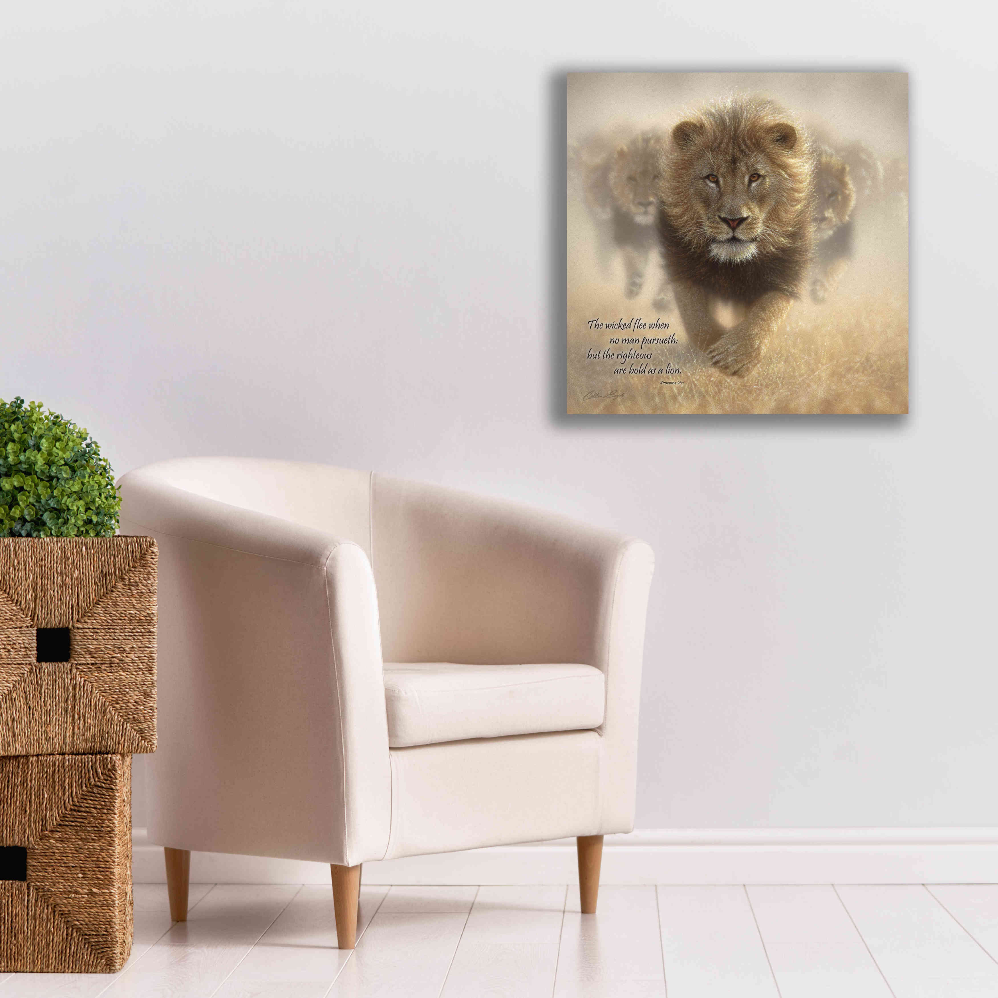 'Wicked Flee' by Collin Bogle, Canvas Wall Art,26x26