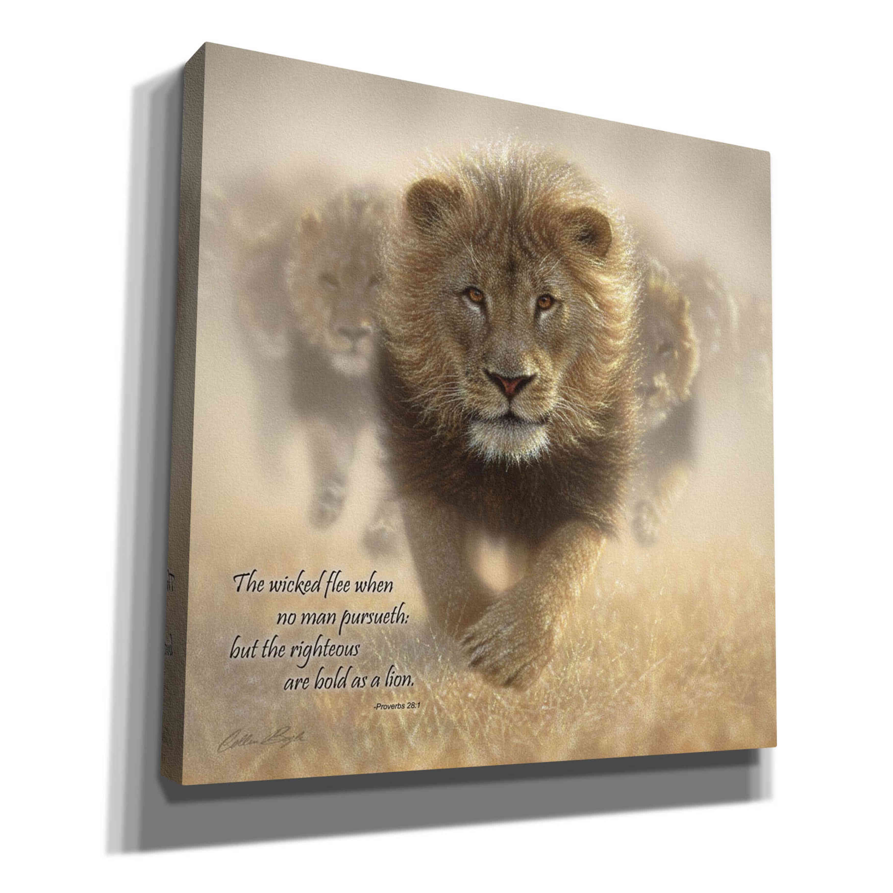 'Wicked Flee' by Collin Bogle, Canvas Wall Art,Size 1 Square